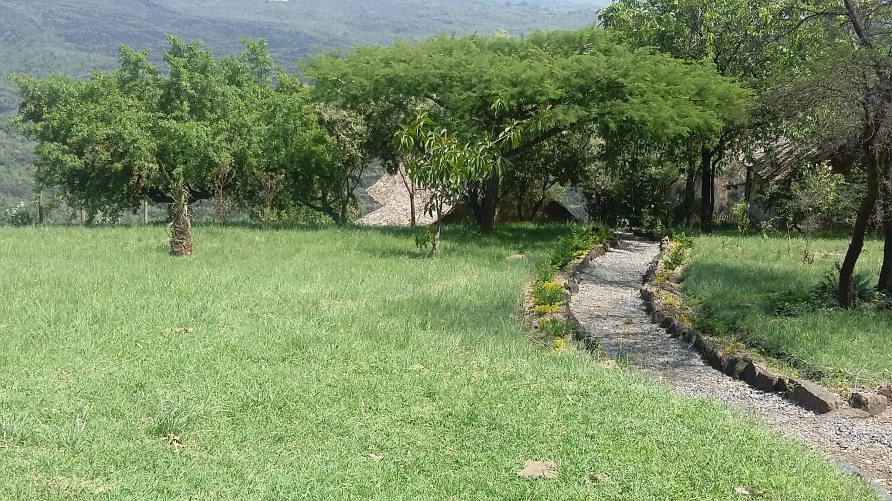 Garden in Maili Saba Camp