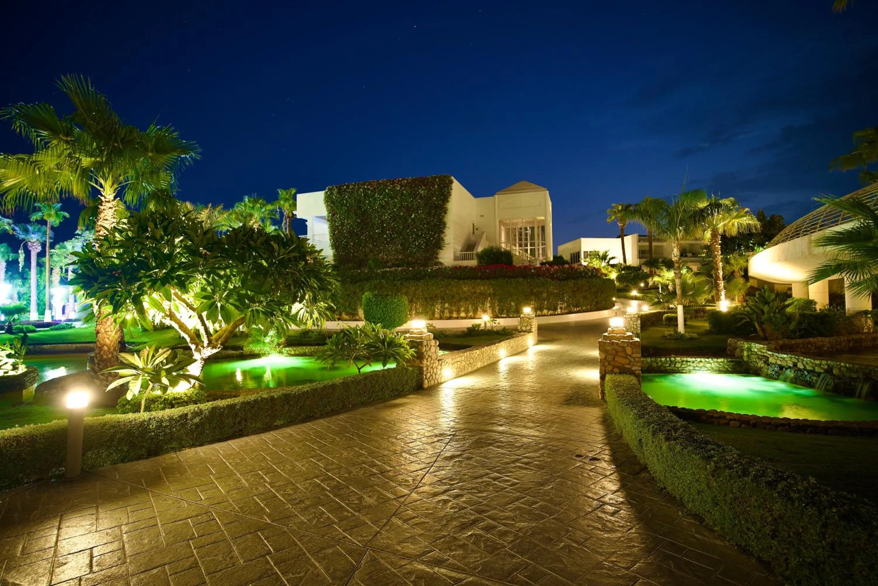 Night in Royal Monte-Carlo Sharm Resort & SPA