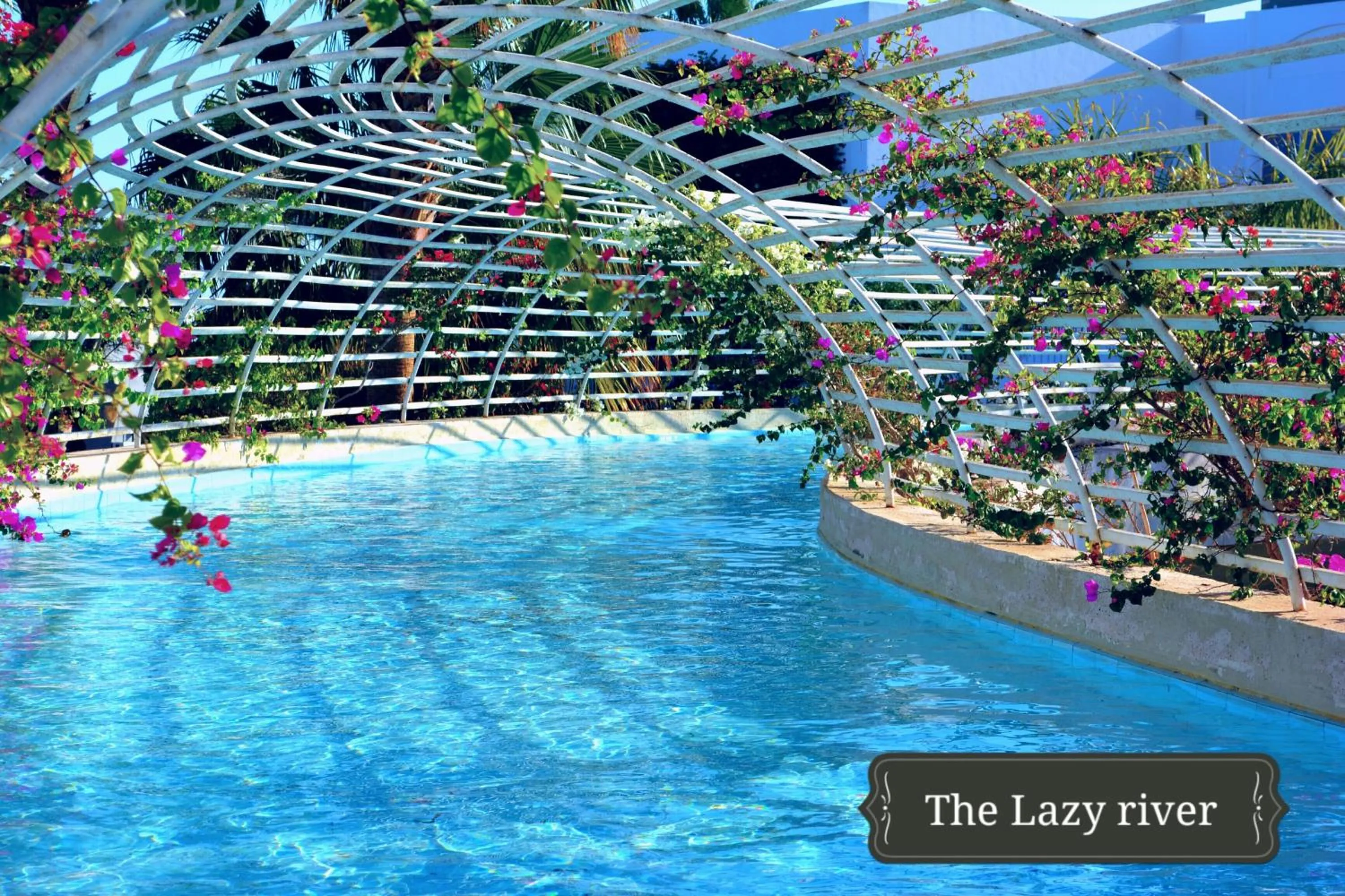 Swimming pool in Royal Monte-Carlo Sharm Resort & SPA