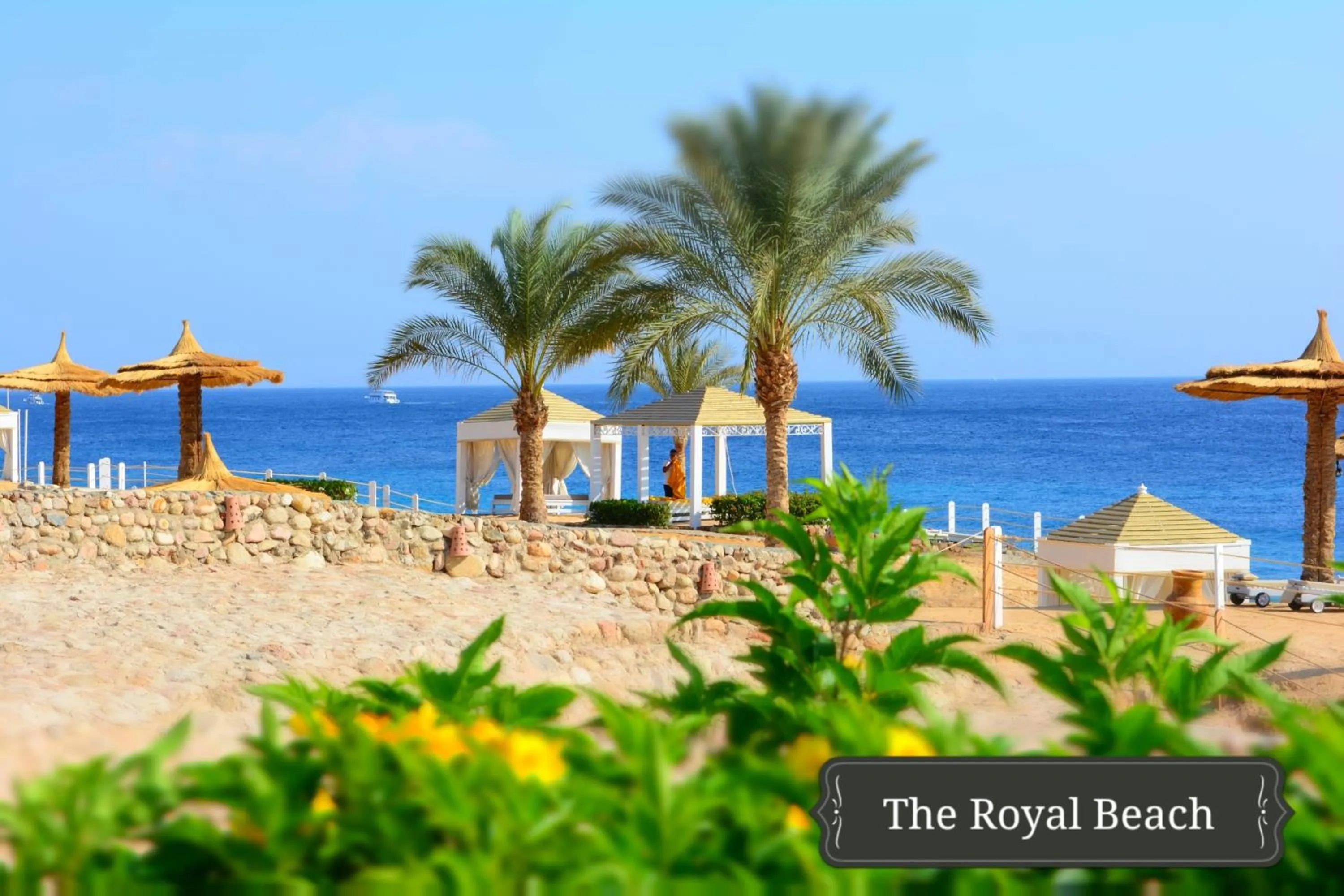 Beach in Royal Monte-Carlo Sharm Resort & SPA