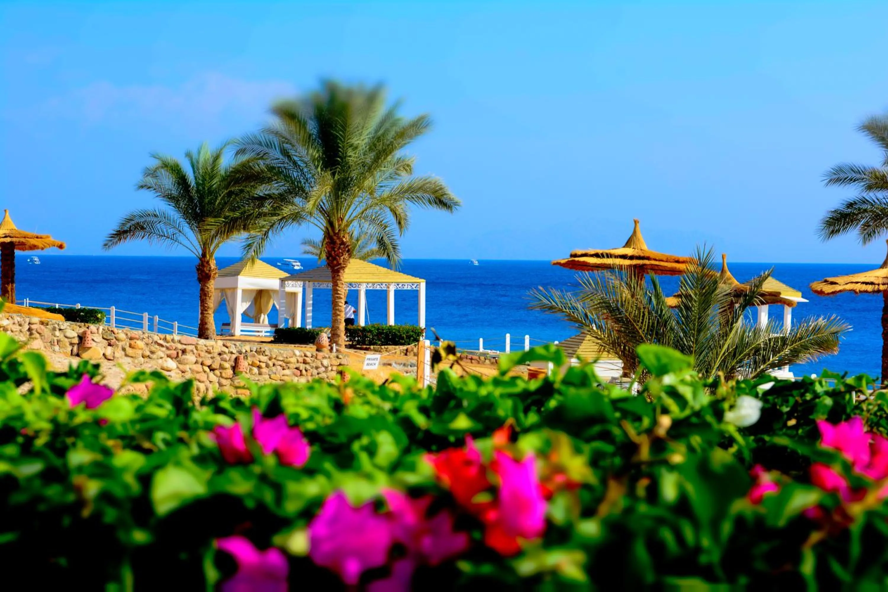 Beach in Royal Monte-Carlo Sharm Resort & SPA
