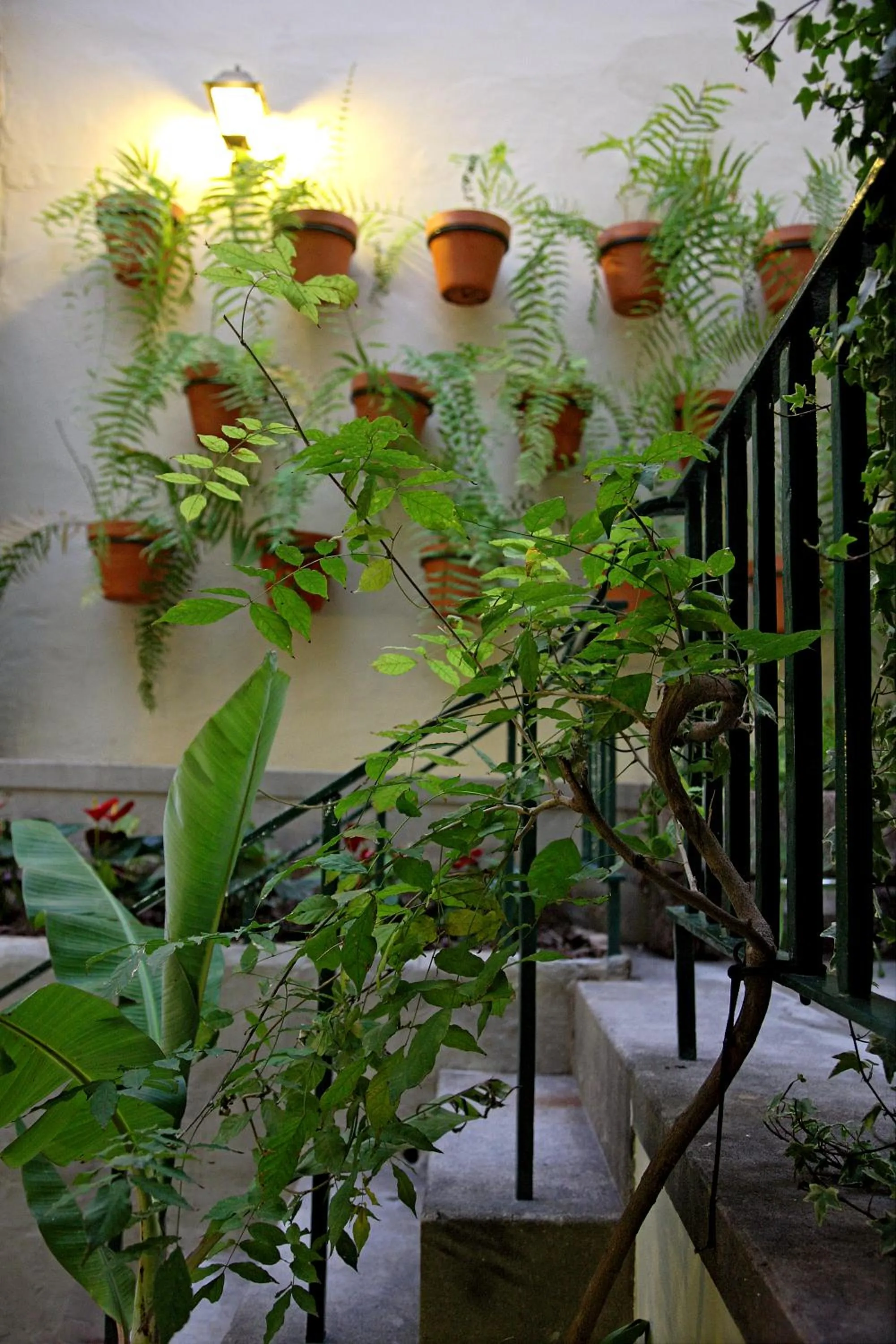 Decorative detail in 29 Madeira Hostel