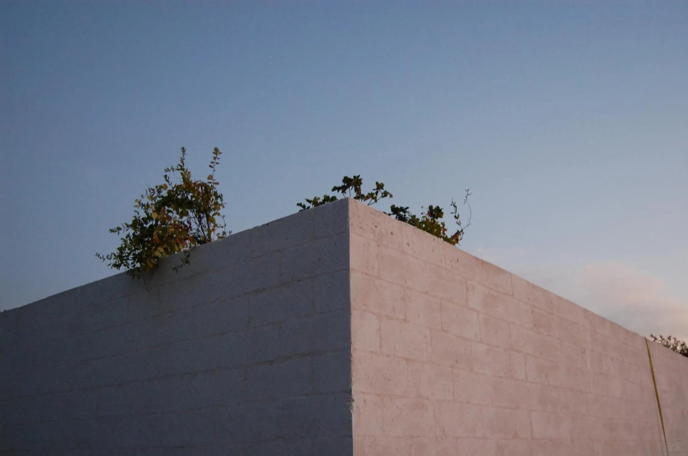 Swimming pool in Calcebianca