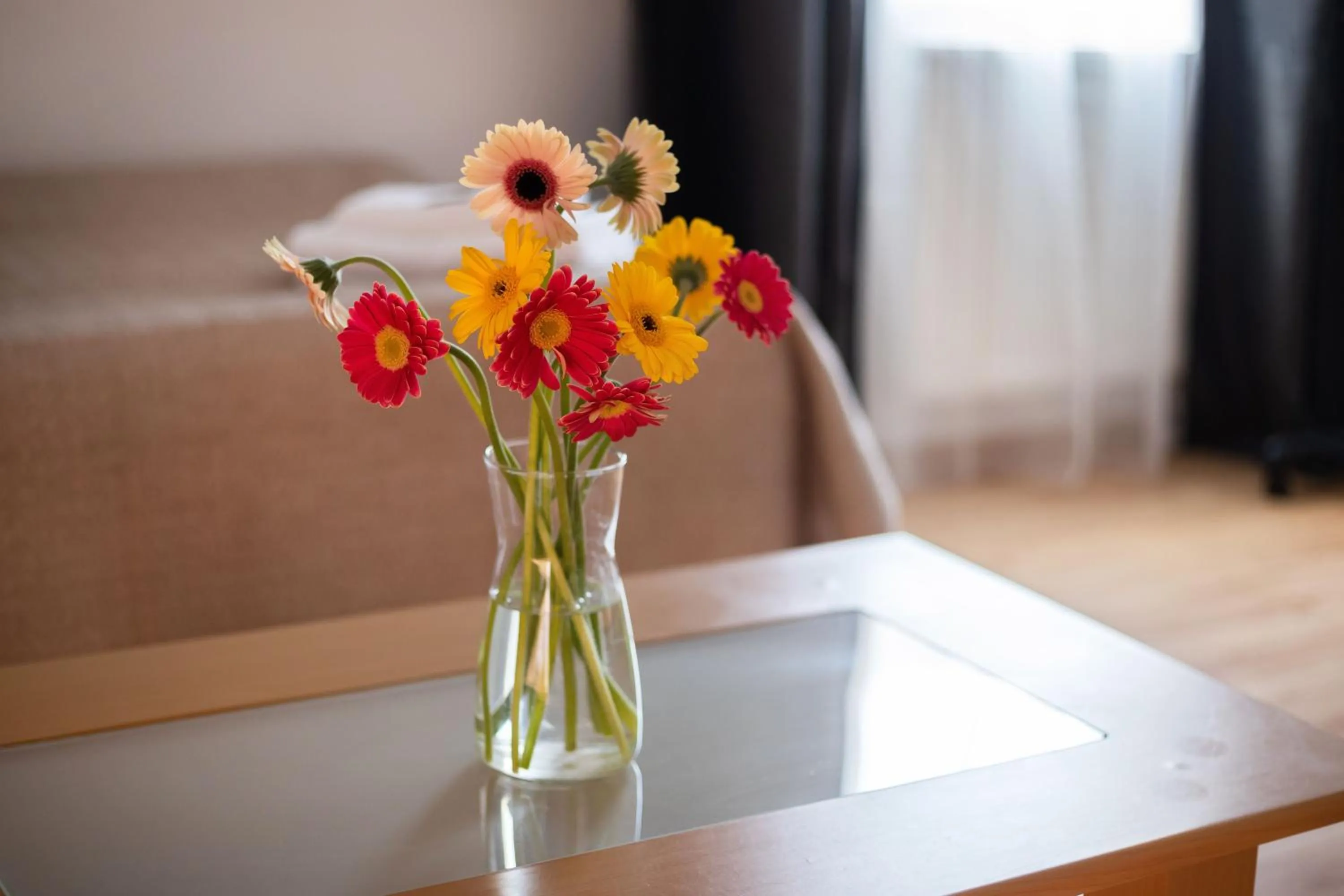 Avanti apgyvendinimas-restoranas