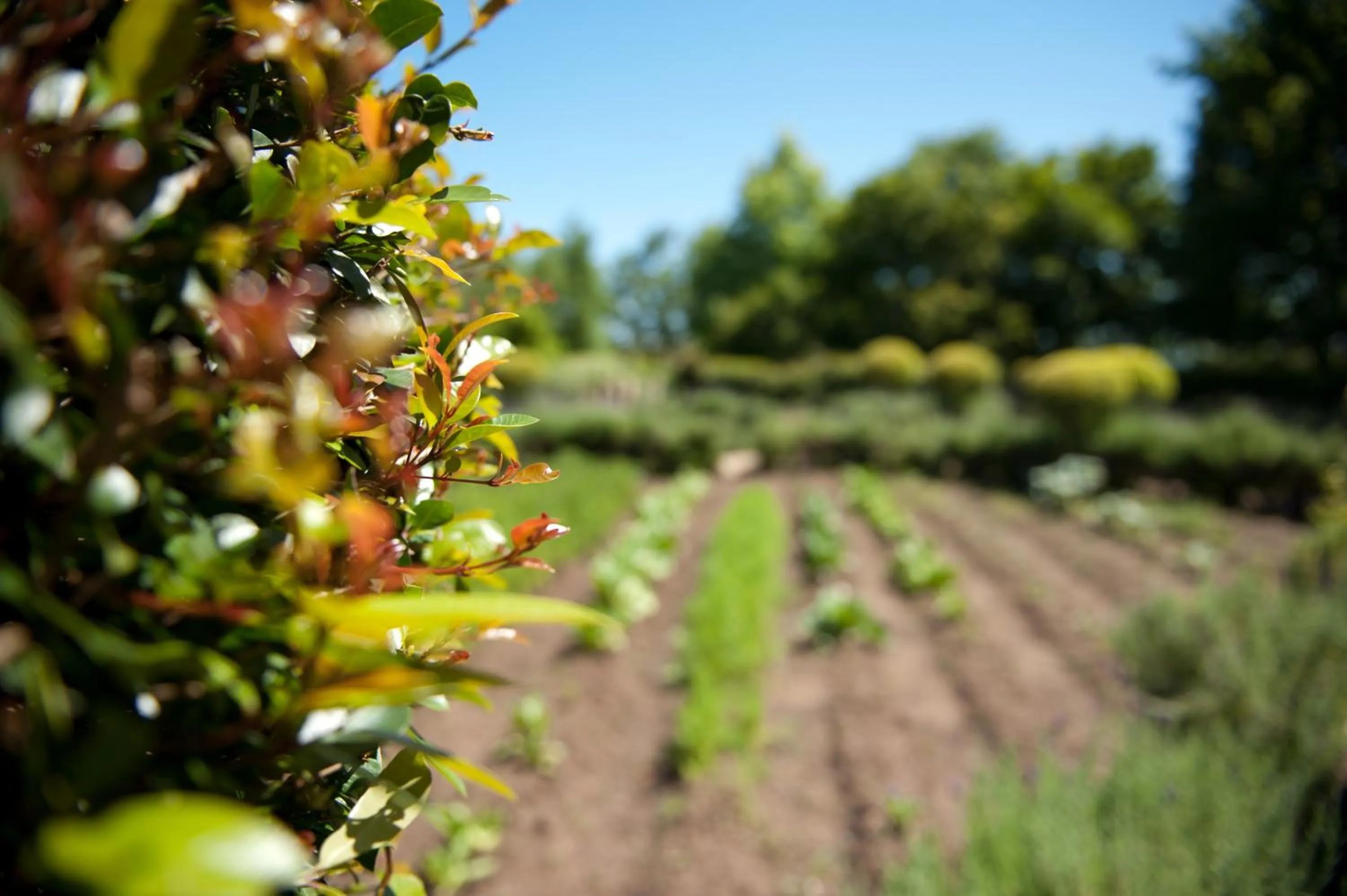 Area and facilities in ArendsRus Country Resort