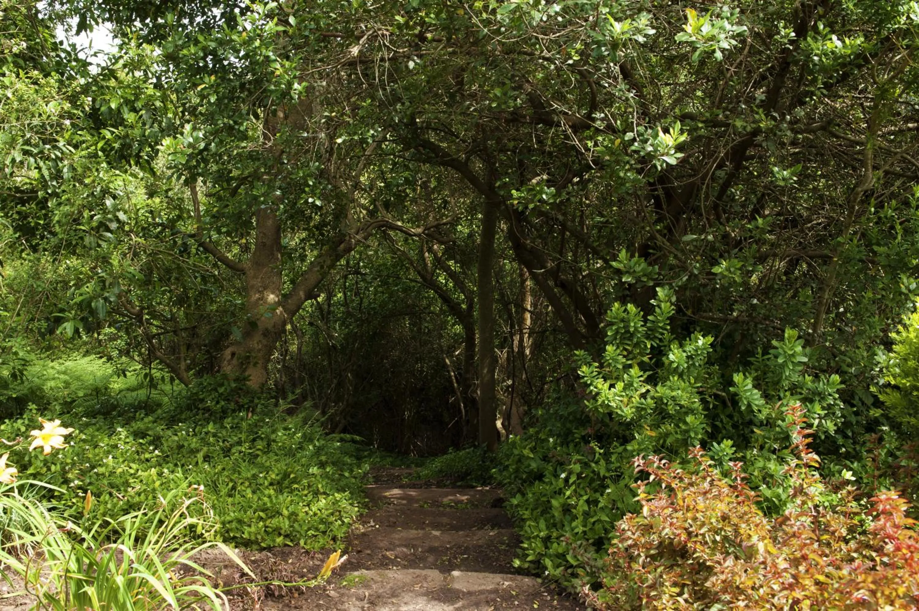 Hiking in ArendsRus Country Resort