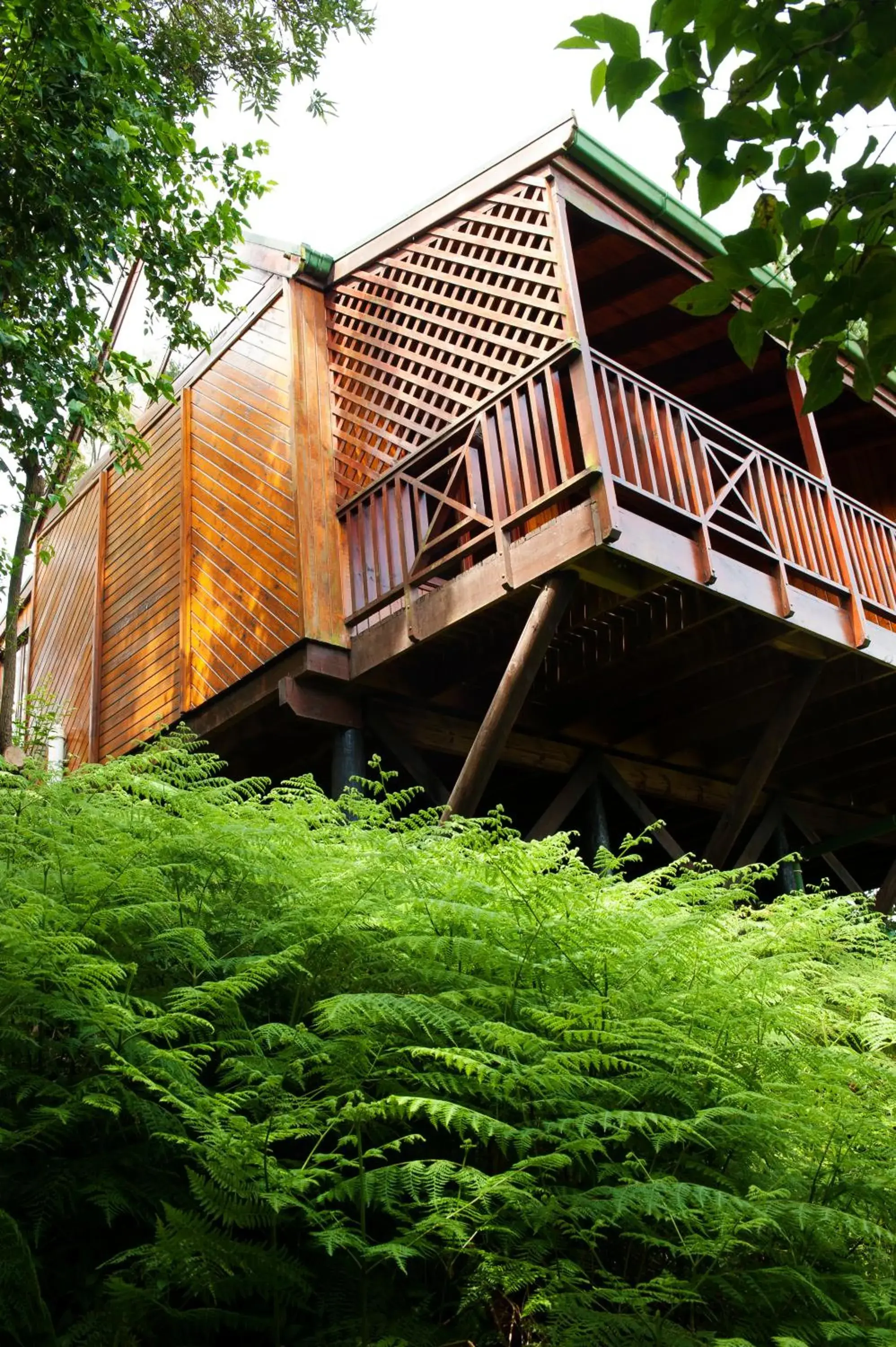 Deluxe Double or Twin Room with Balcony - single occupancy in ArendsRus Country Resort Deluxe Double or Twin Room with Balcony - single occupancy in ArendsRus Country Resort