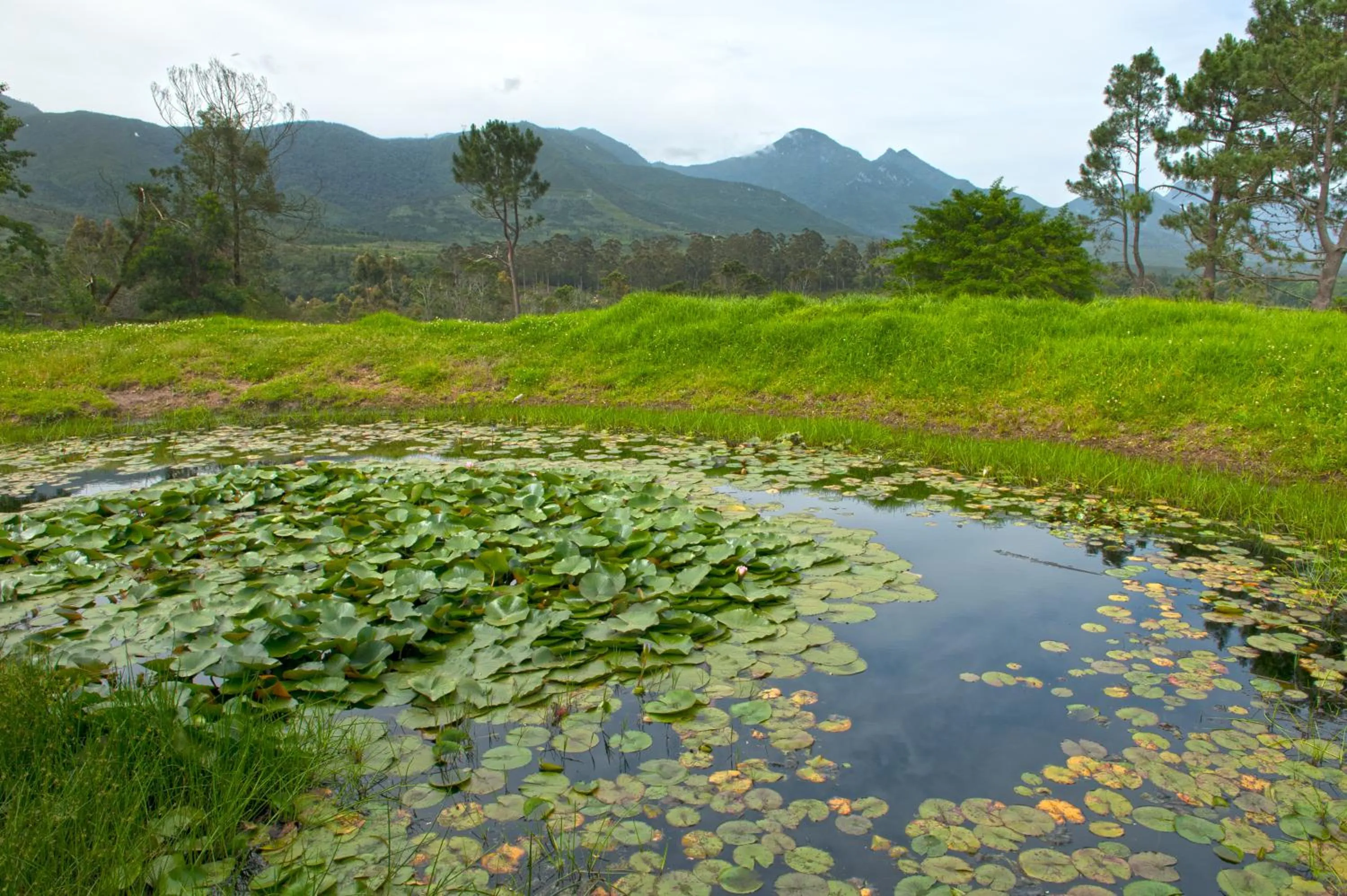 Garden in ArendsRus Country Resort