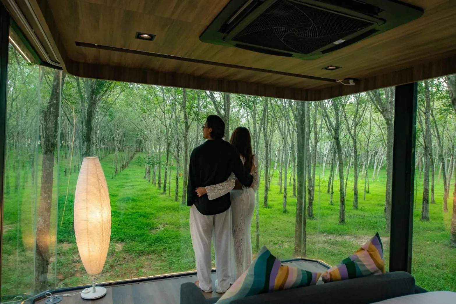 Garden view in Timber Society Boutique Hideaway