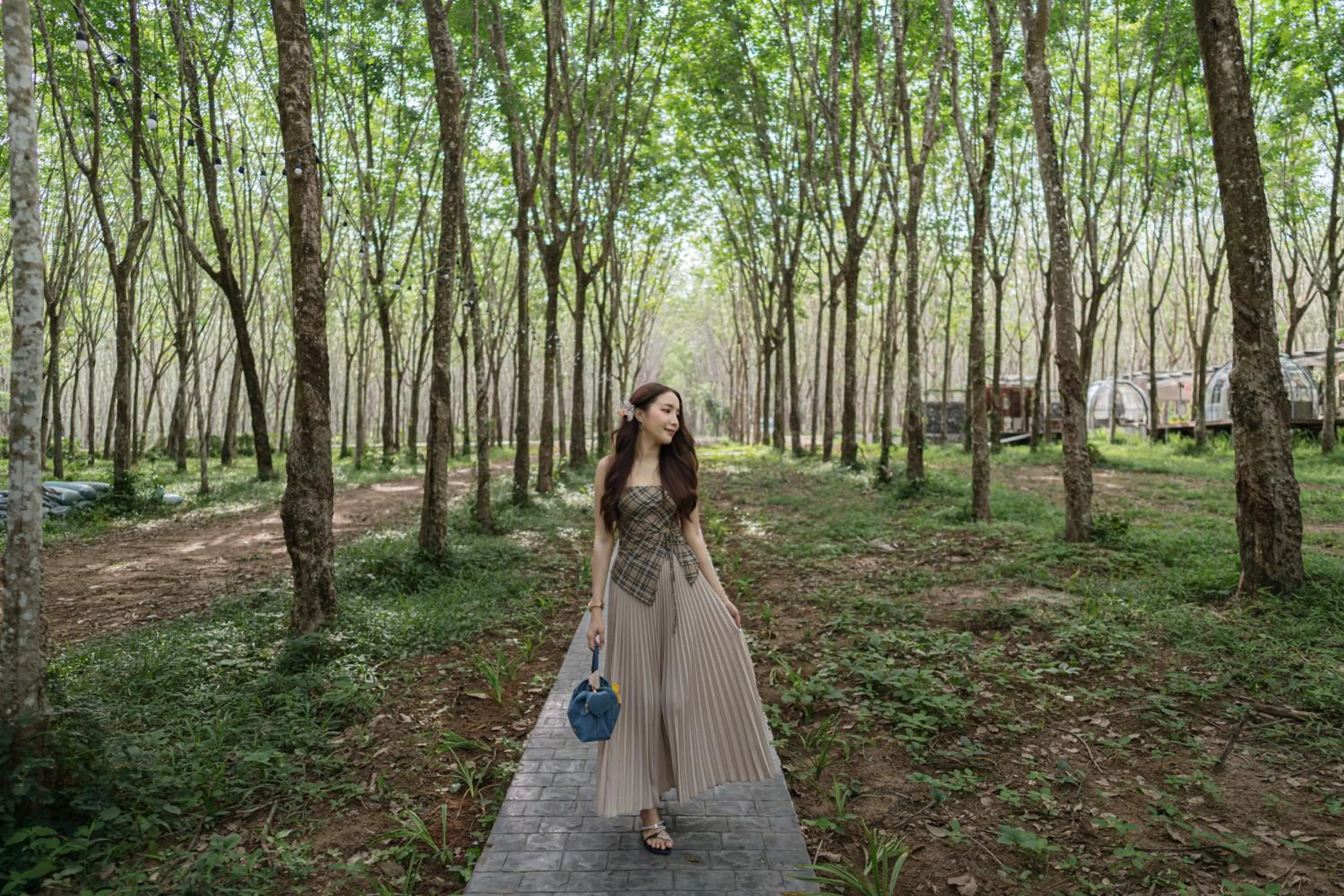 Day in Timber Society Boutique Hideaway