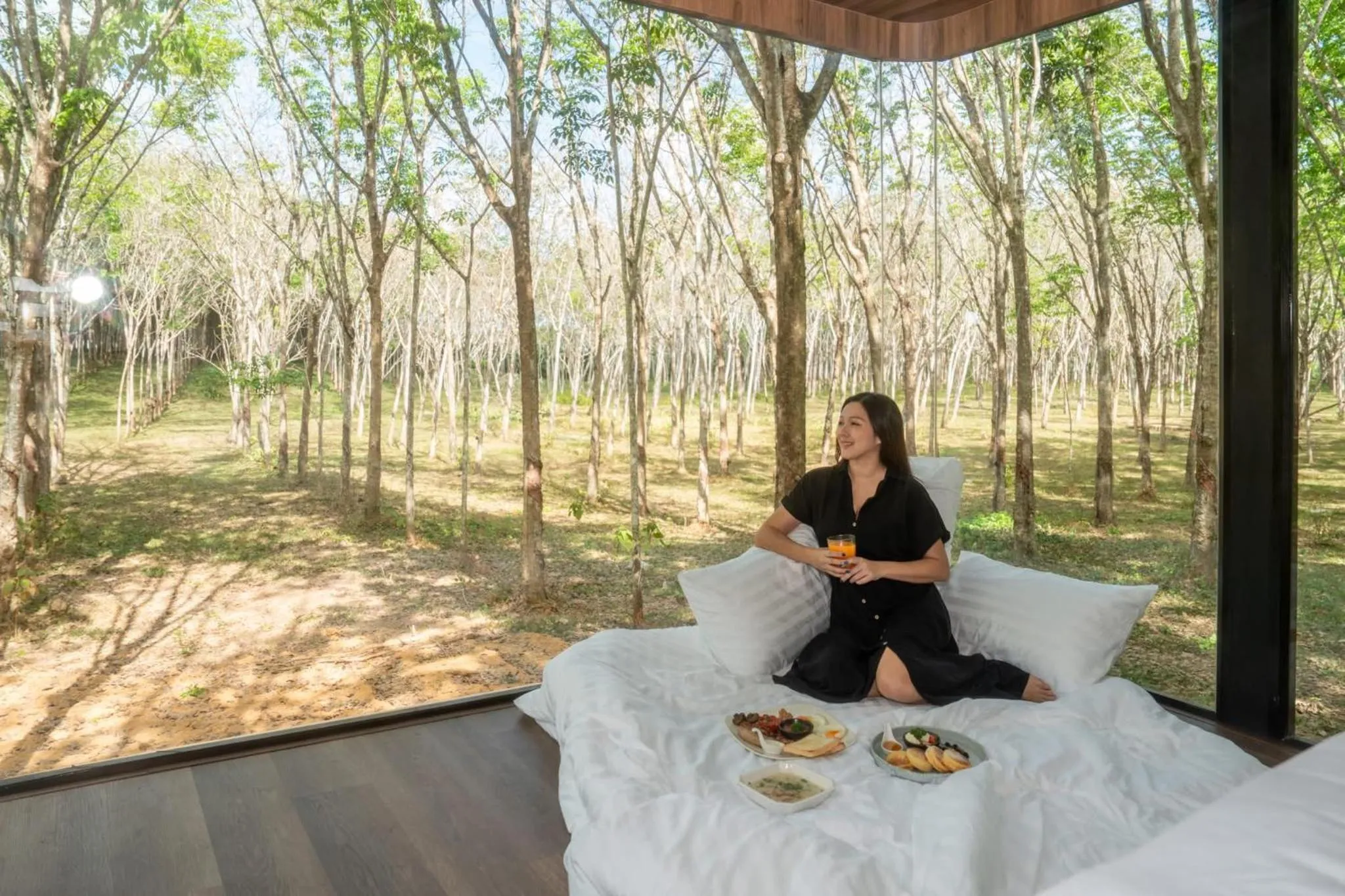 Garden view in Timber Society Boutique Hideaway