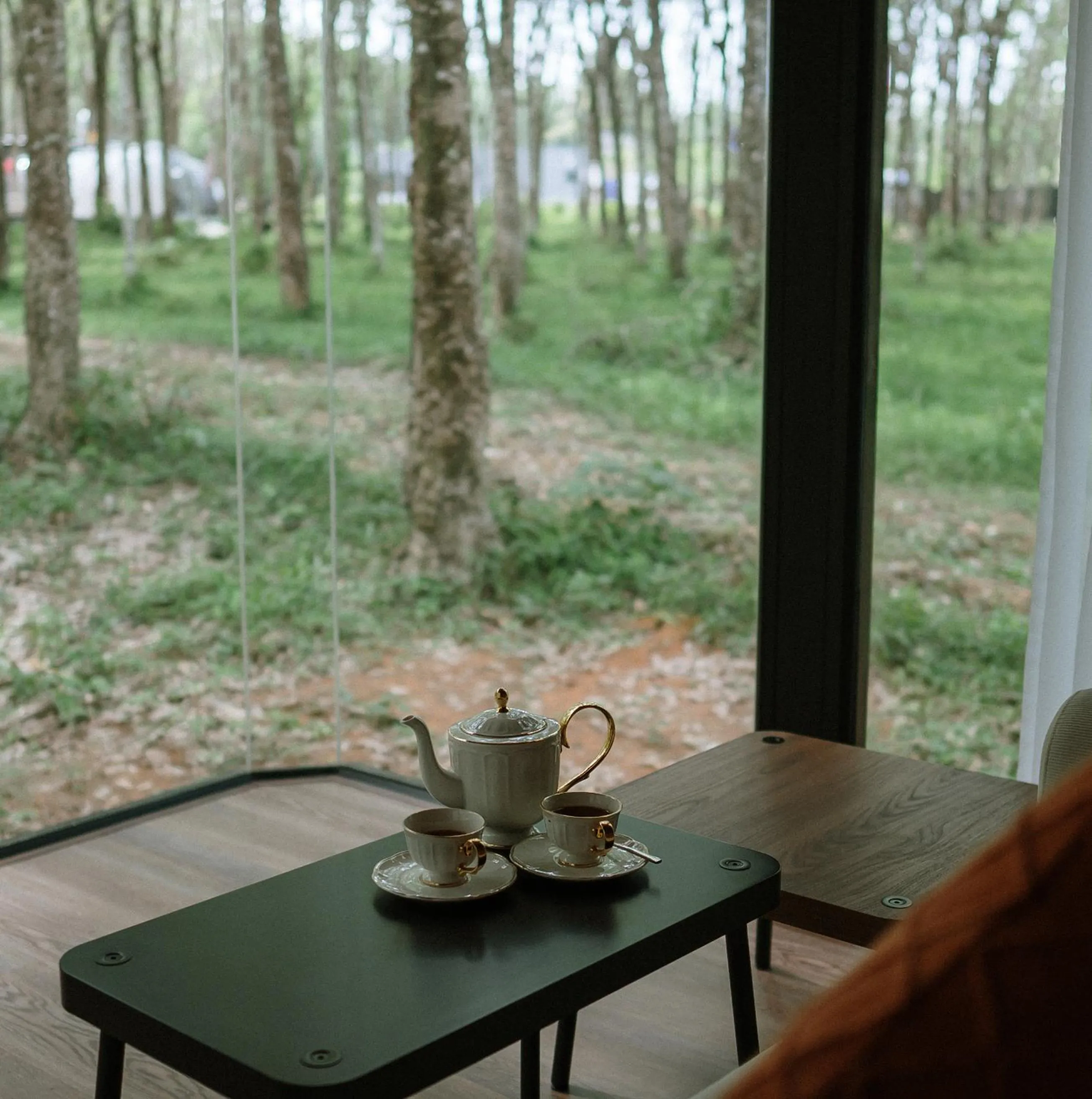 Natural landscape in Timber Society Boutique Hideaway