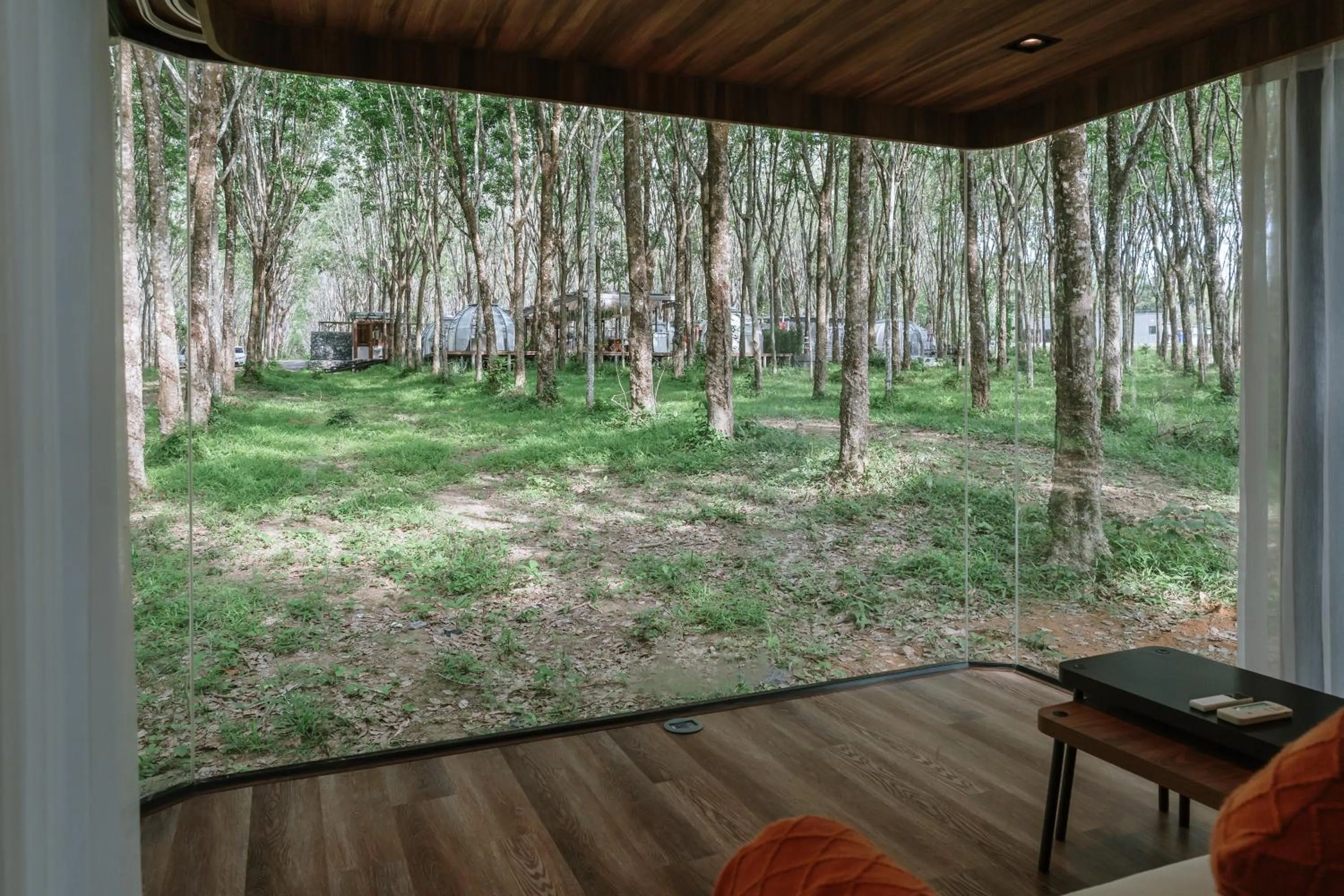 Day in Timber Society Boutique Hideaway