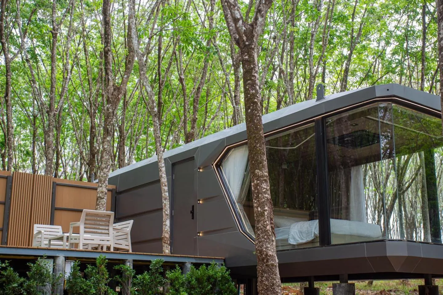 Natural landscape in Timber Society Boutique Hideaway