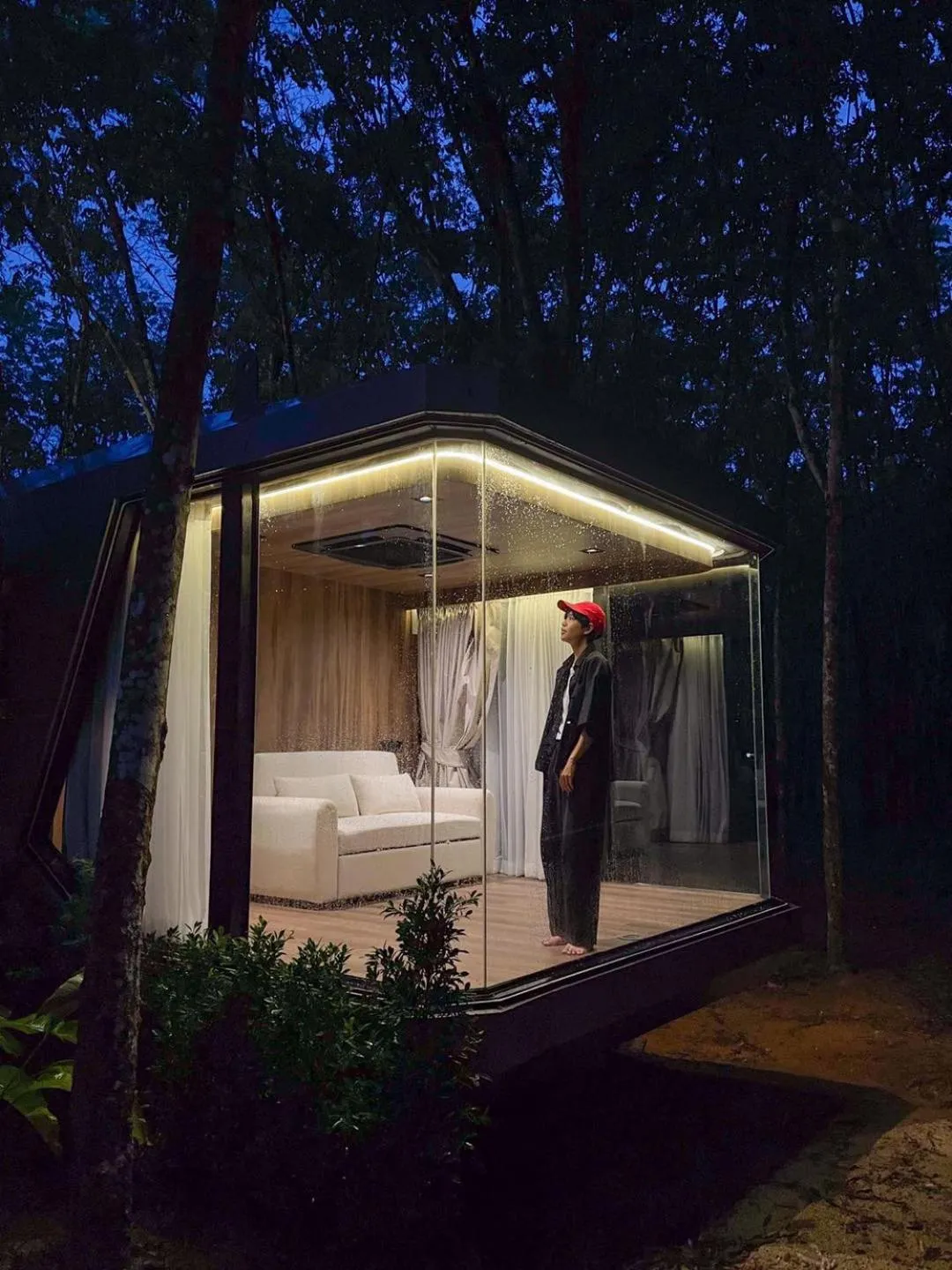 Natural landscape in Timber Society Boutique Hideaway