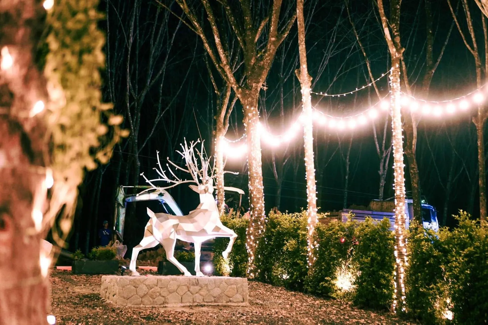 Night in Timber Society Boutique Hideaway