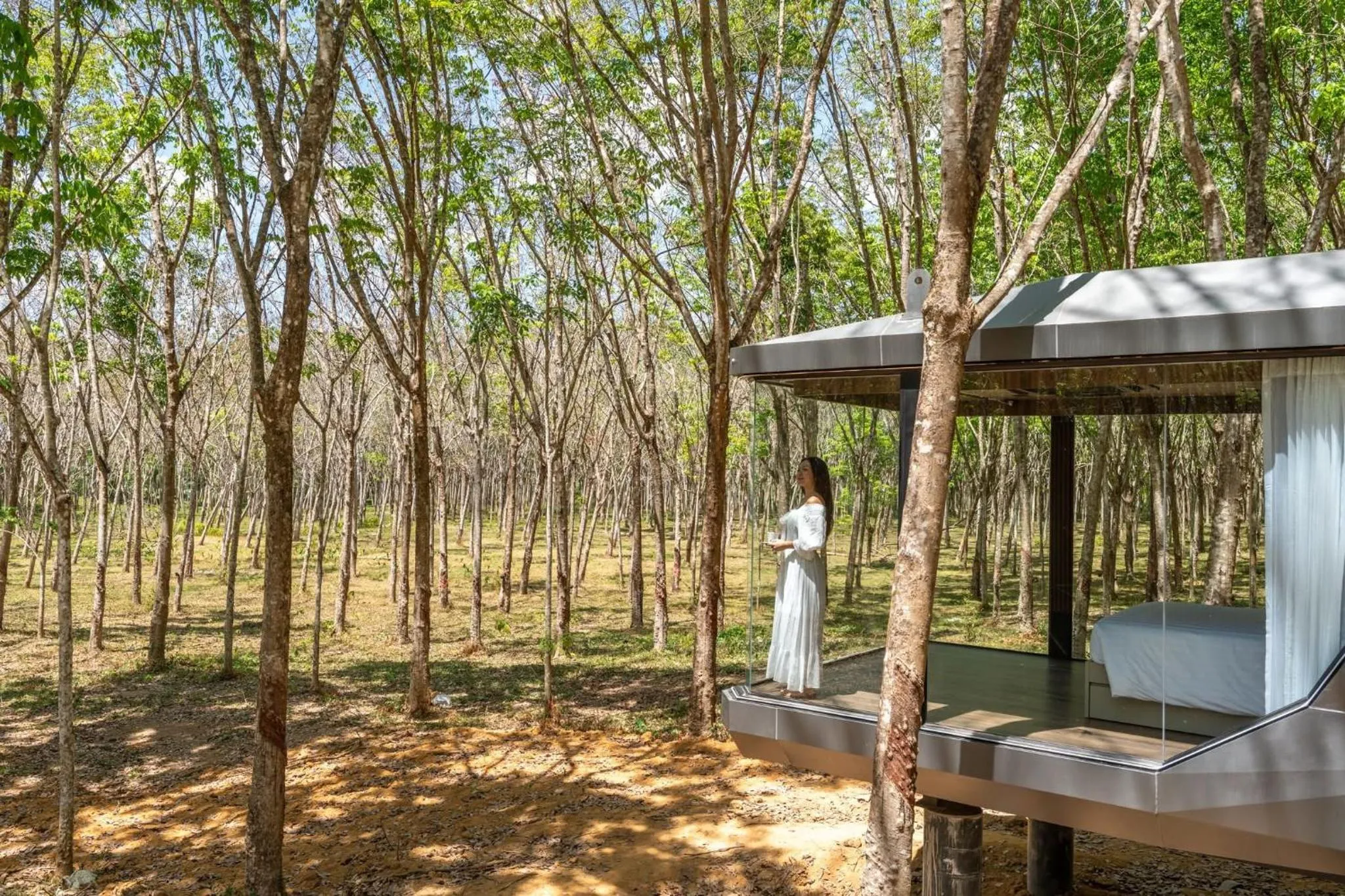 Day in Timber Society Boutique Hideaway