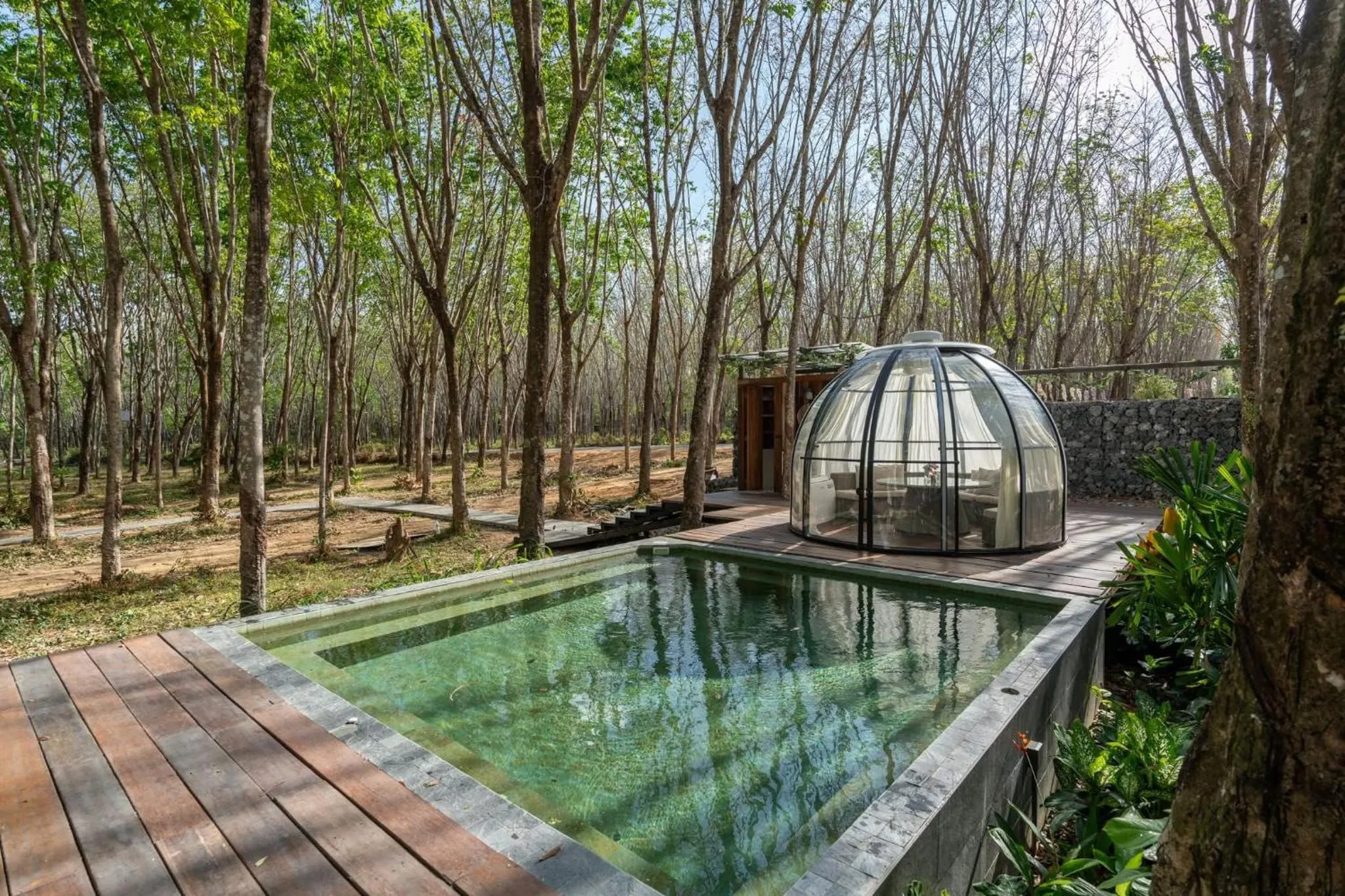 Day in Timber Society Boutique Hideaway