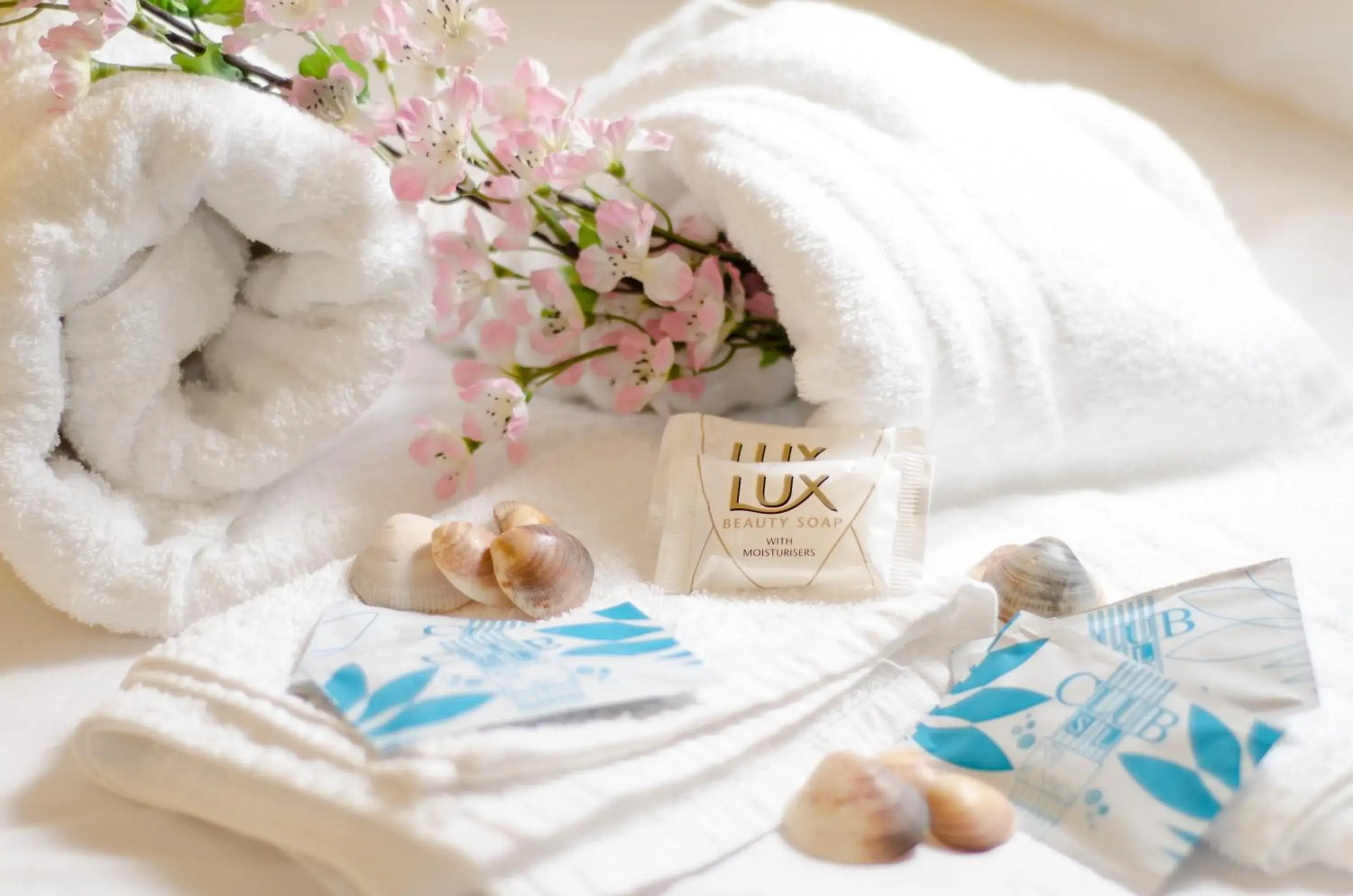 La casa del cocchiere La casa del cocchiere