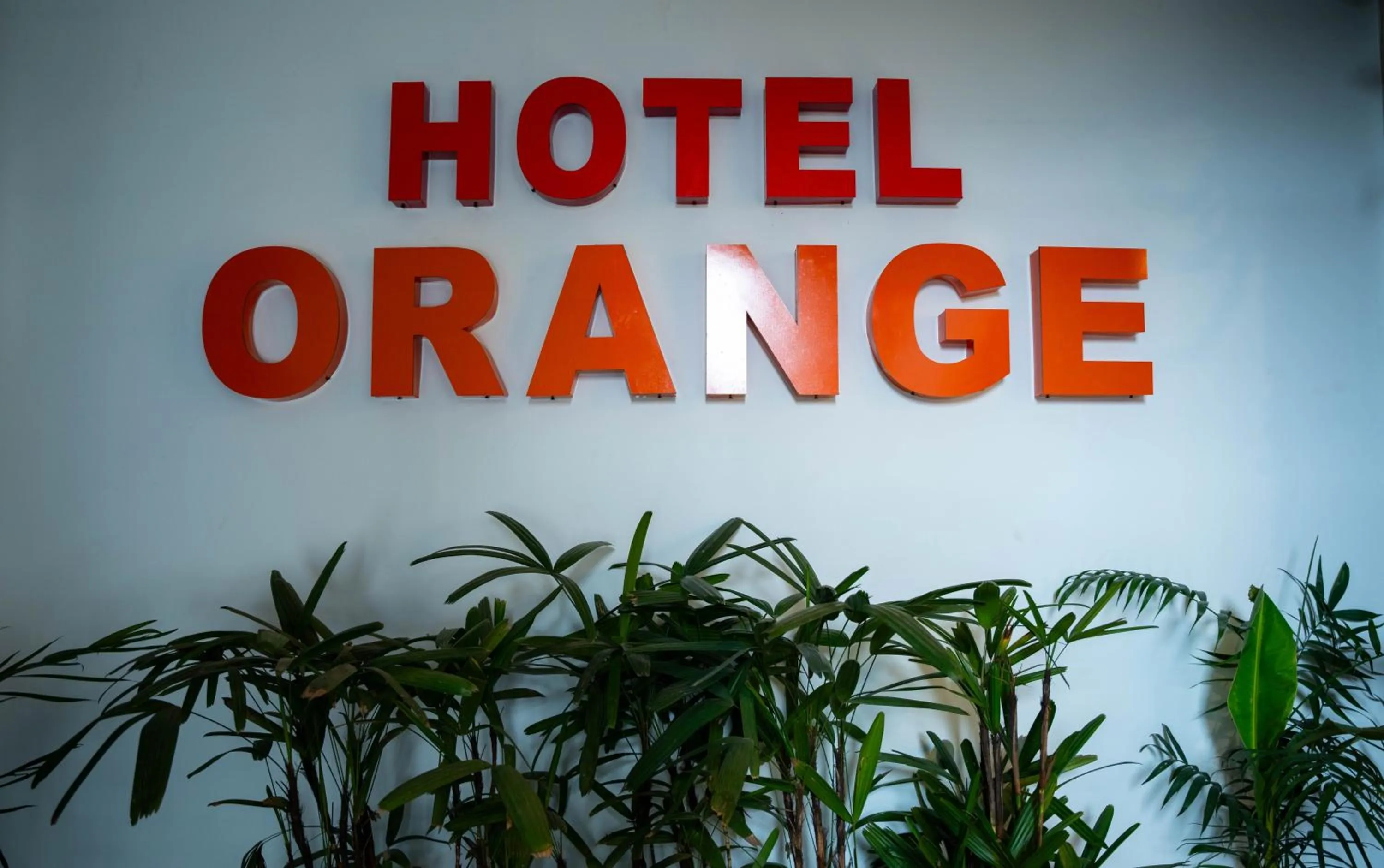 Hotel Orange