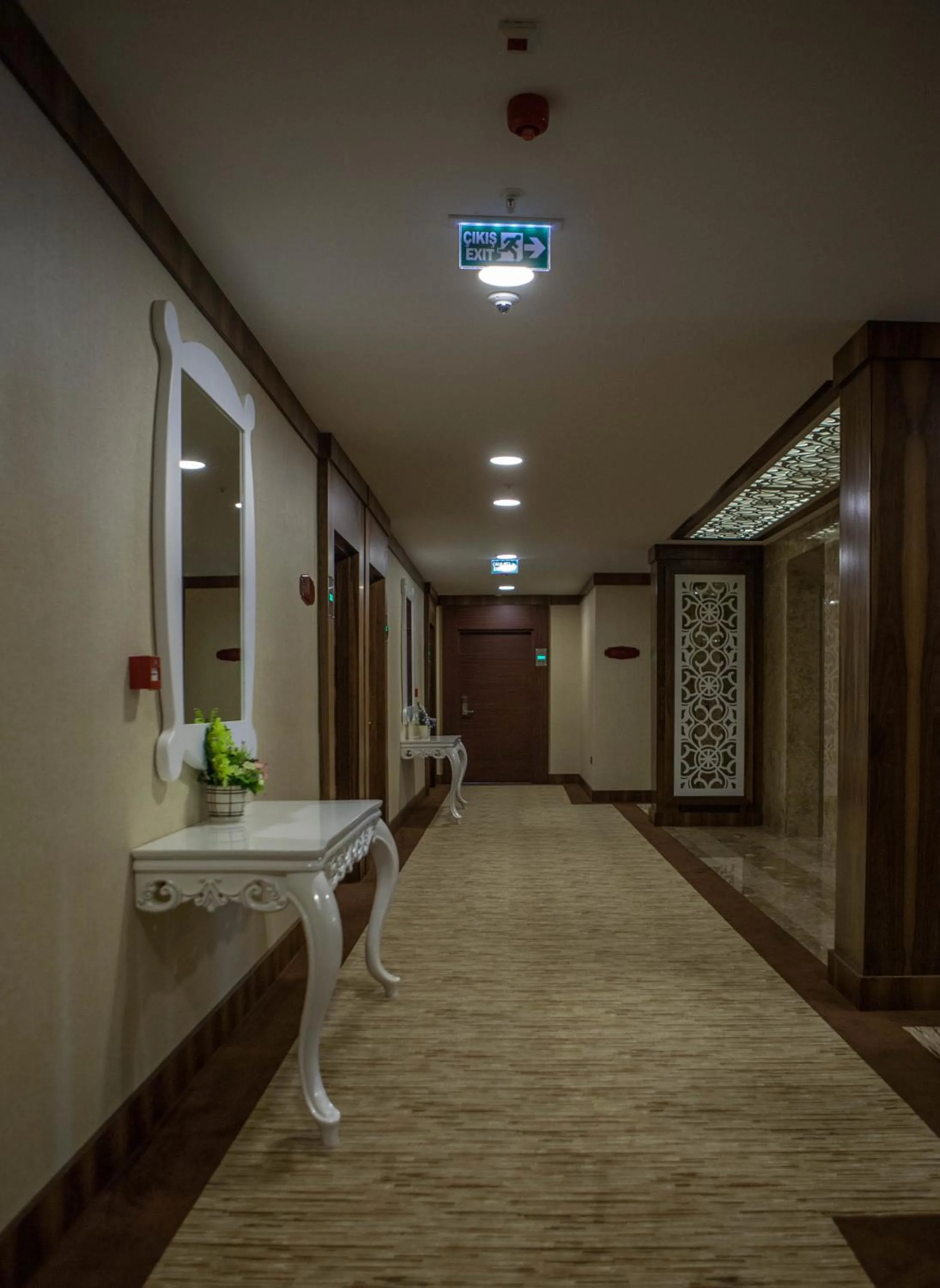 Decorative detail in Mitannia Regency Hotel