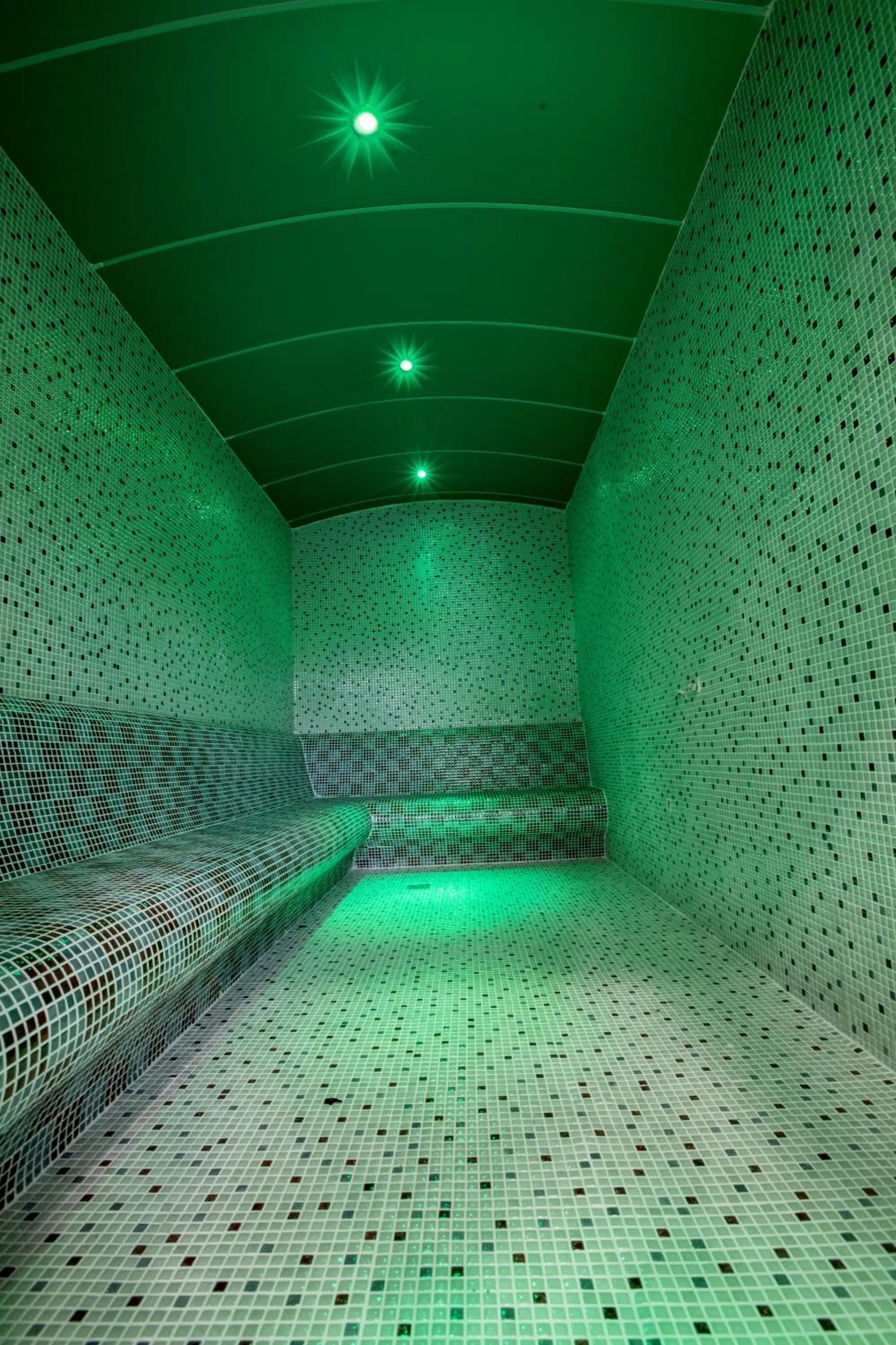 Steam room in Mitannia Regency Hotel