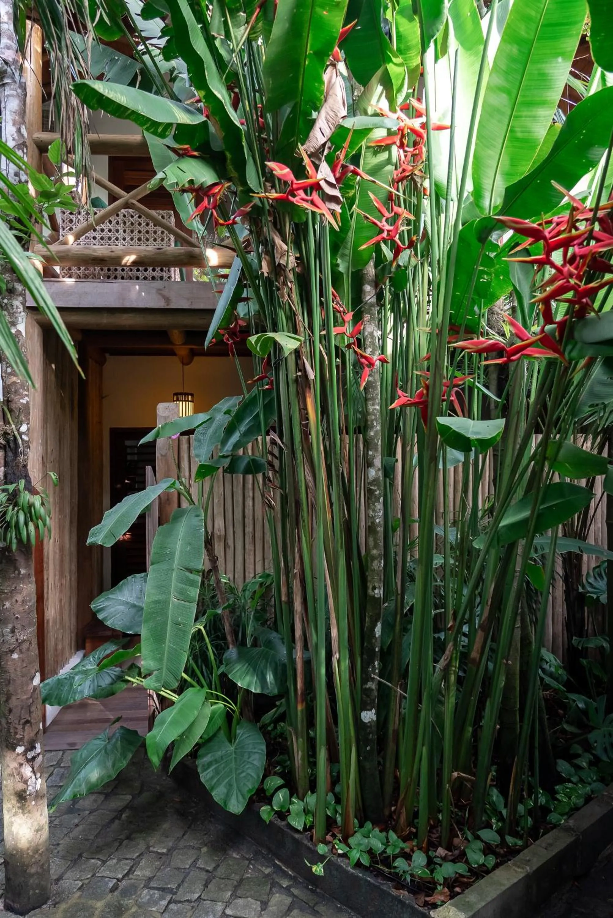 Pousada Cajueiro Trancoso