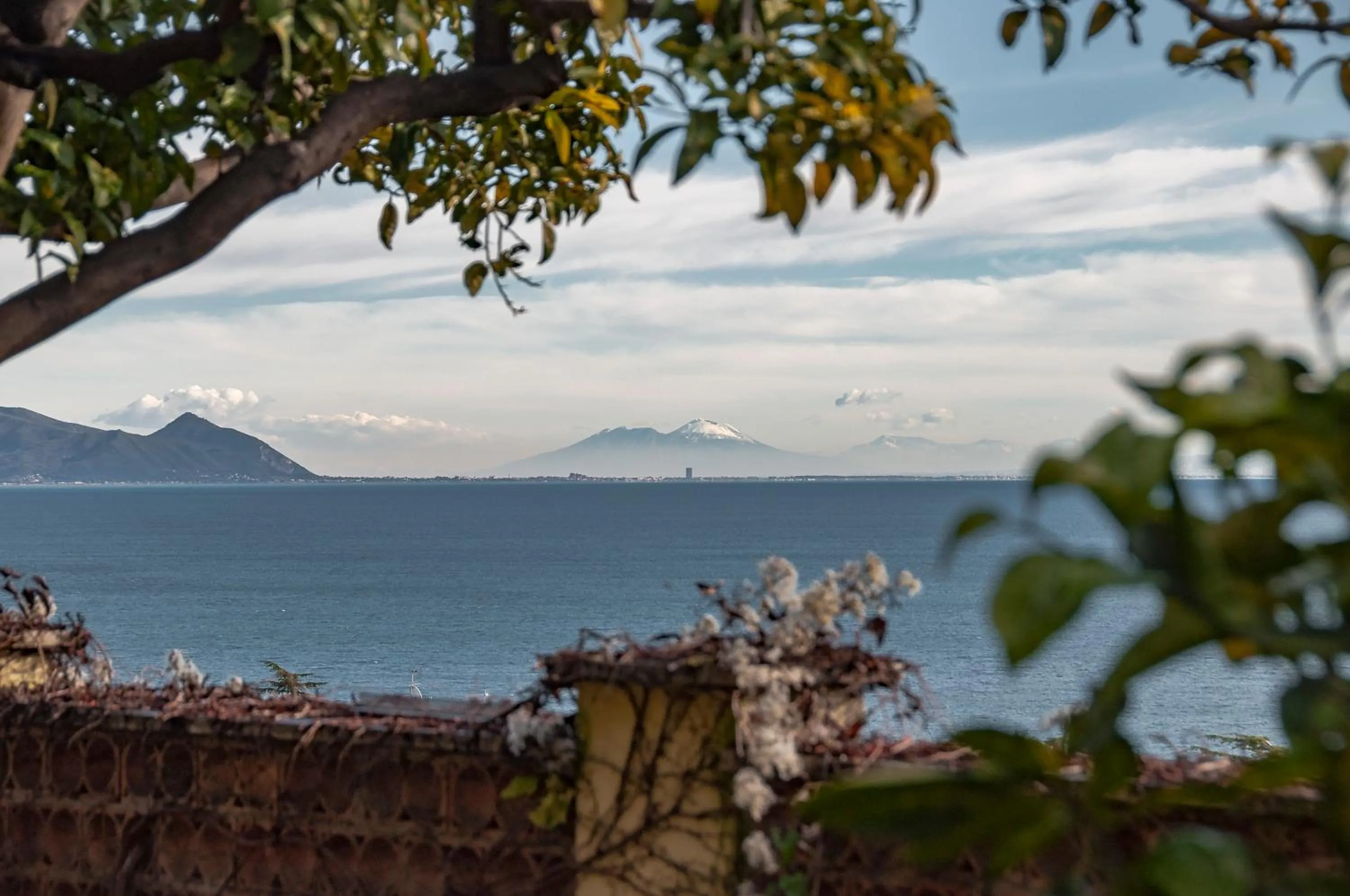 Garden in Villa Olga B&B