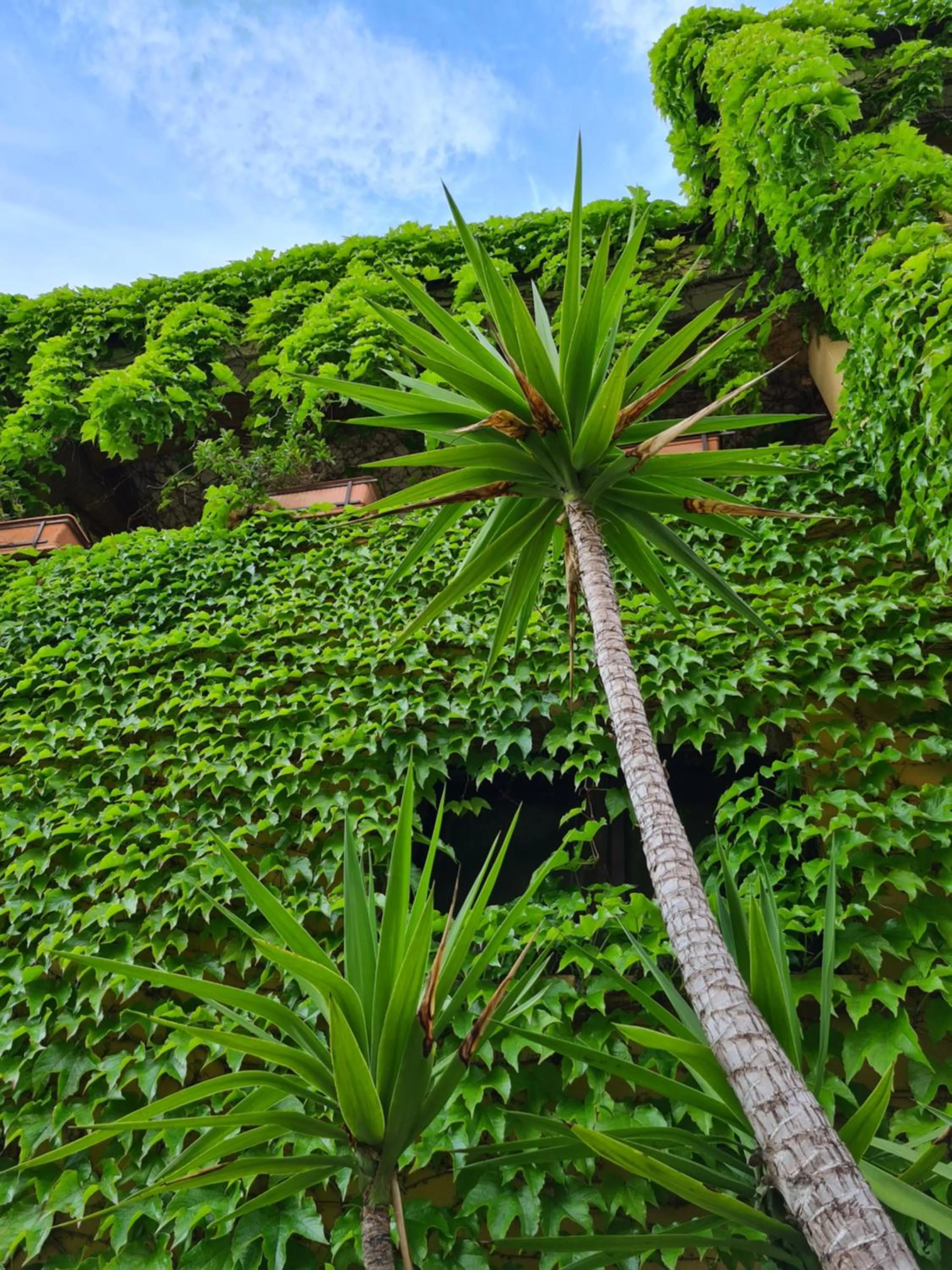 Property building in Villa Olga B&B