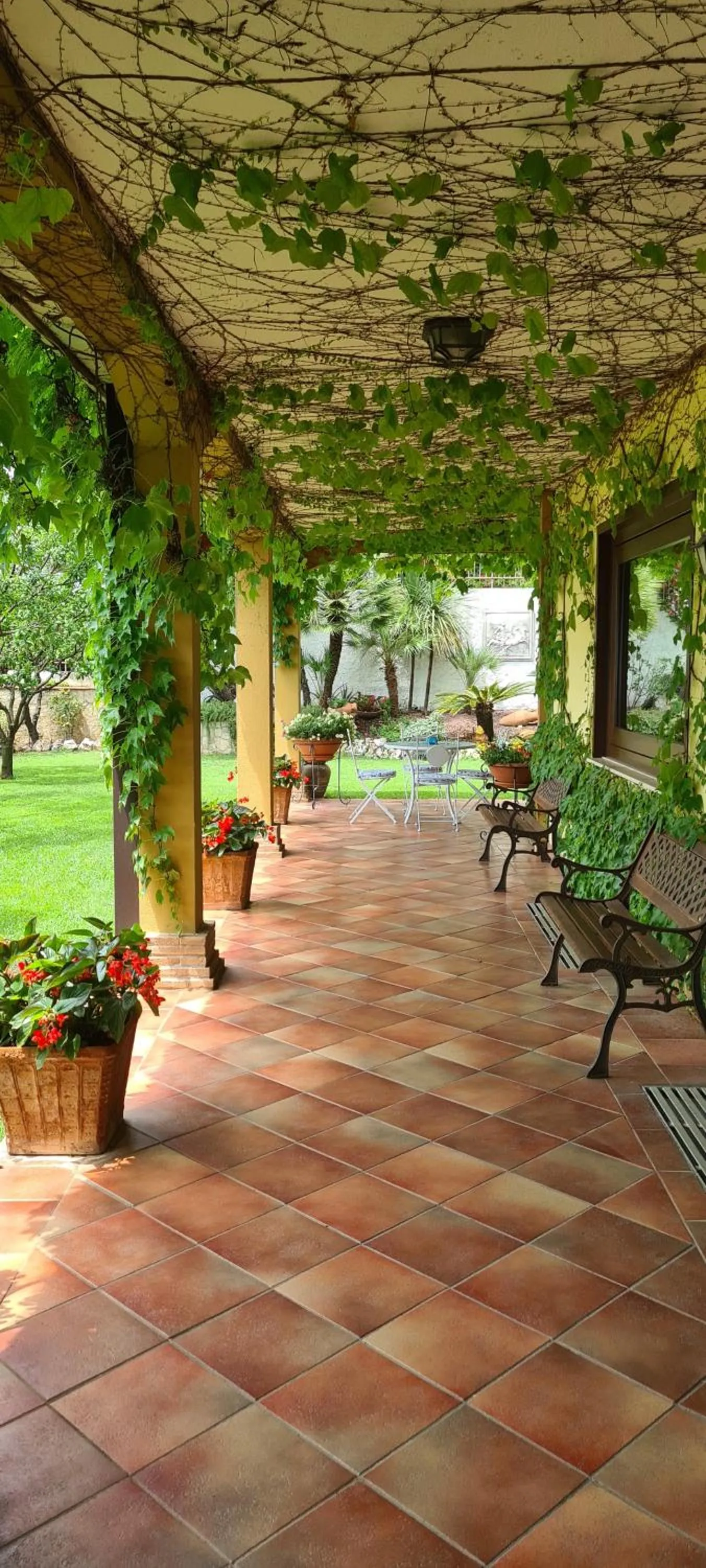 Garden in Villa Olga B&B