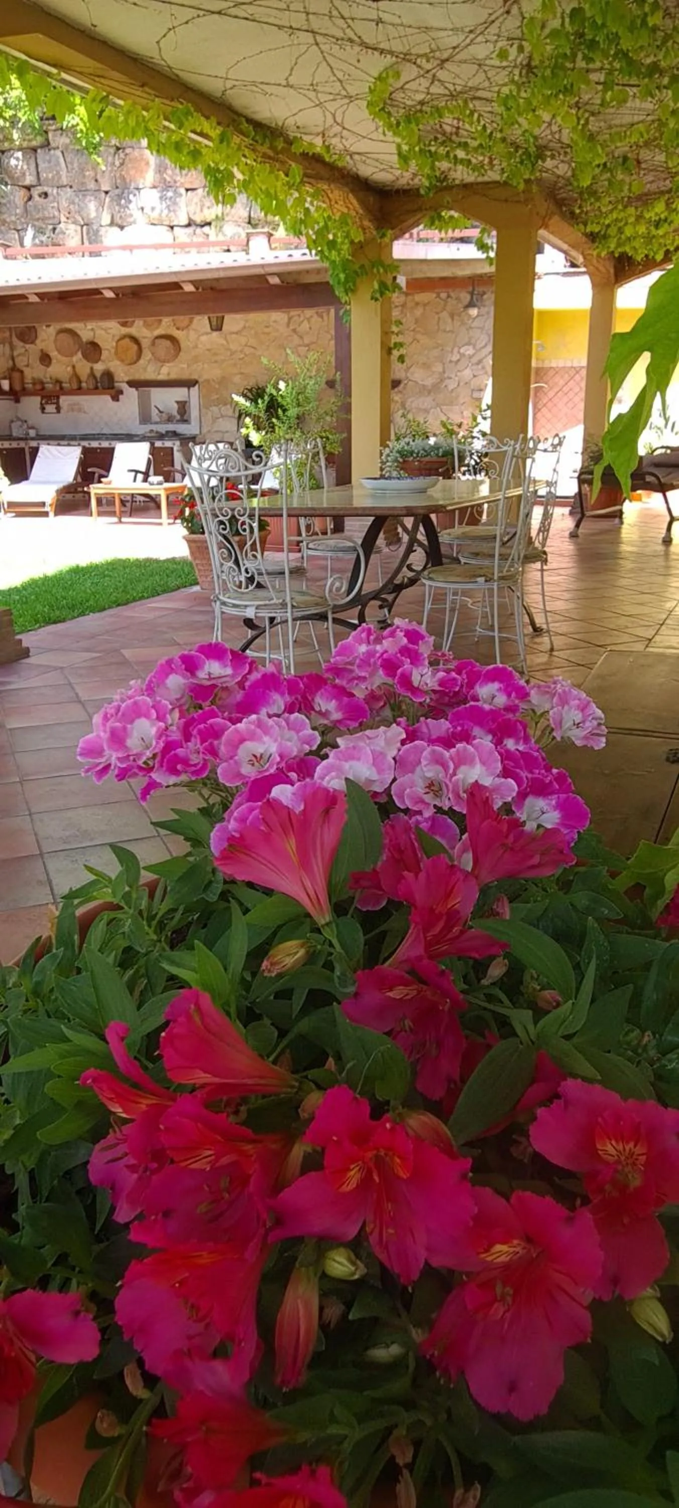 Patio in Villa Olga B&B