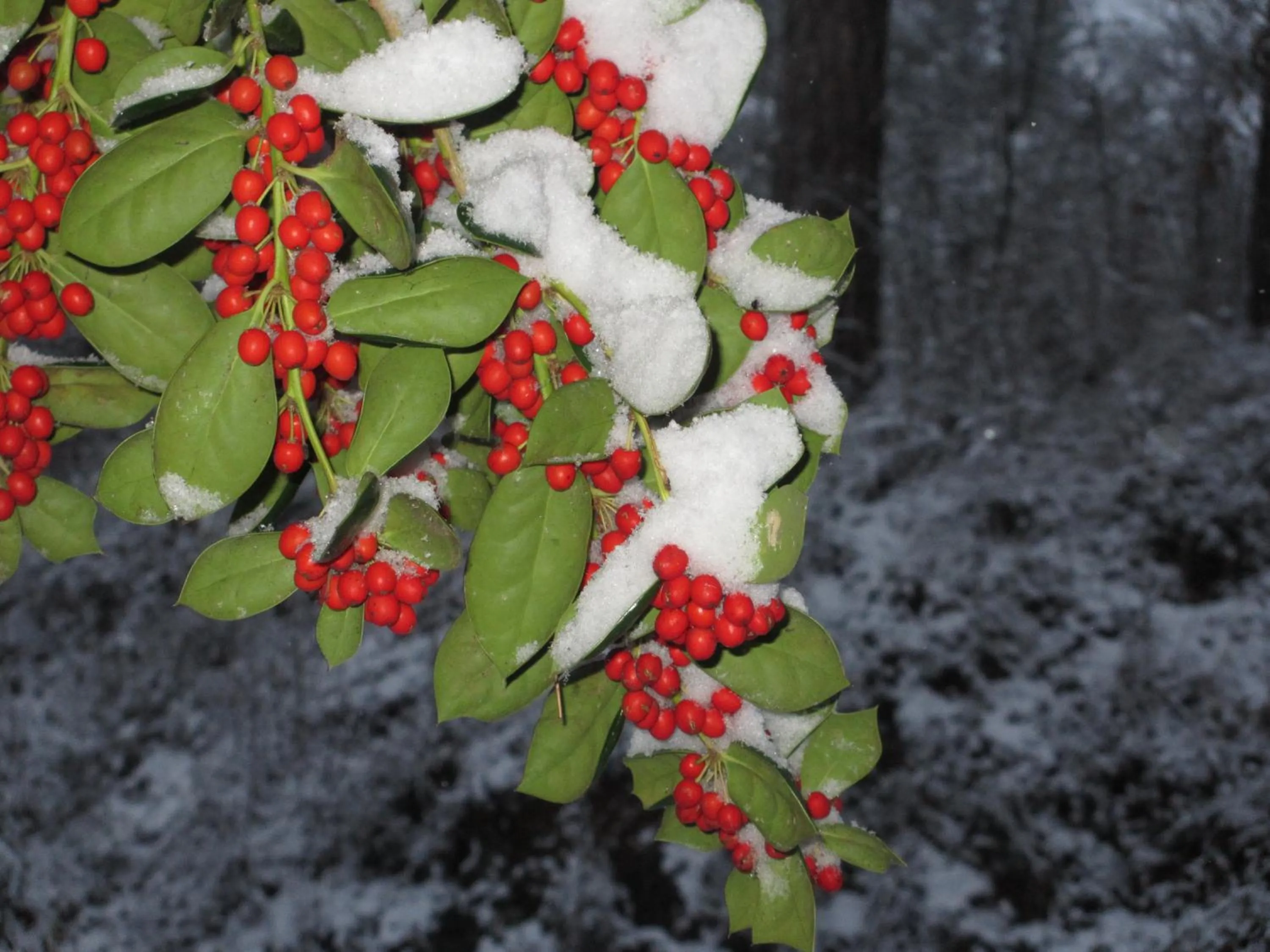 Adair Manor Bed & Breakfast