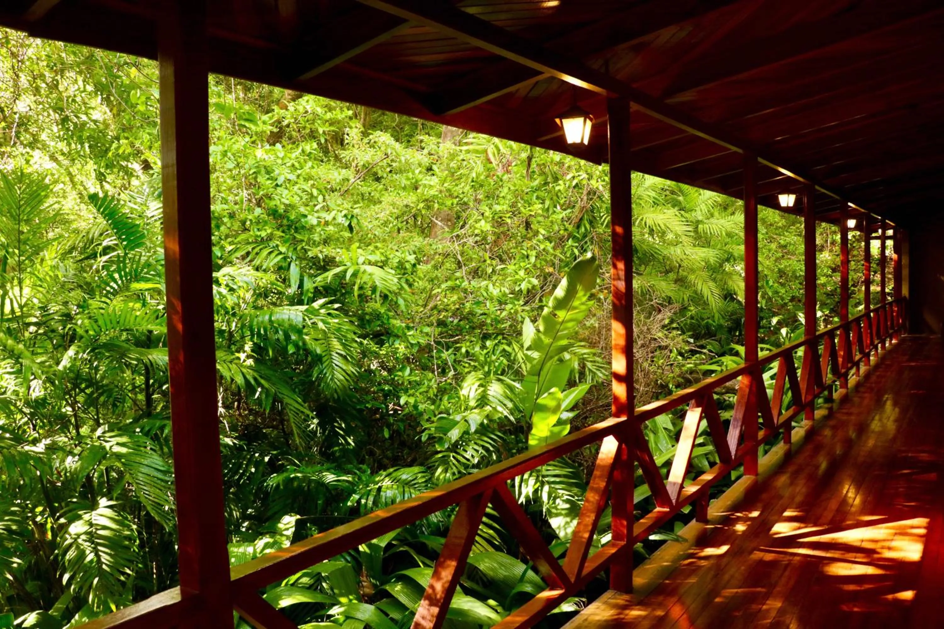Garden view in Jaguarundi Jungle Lodge - Monteverde