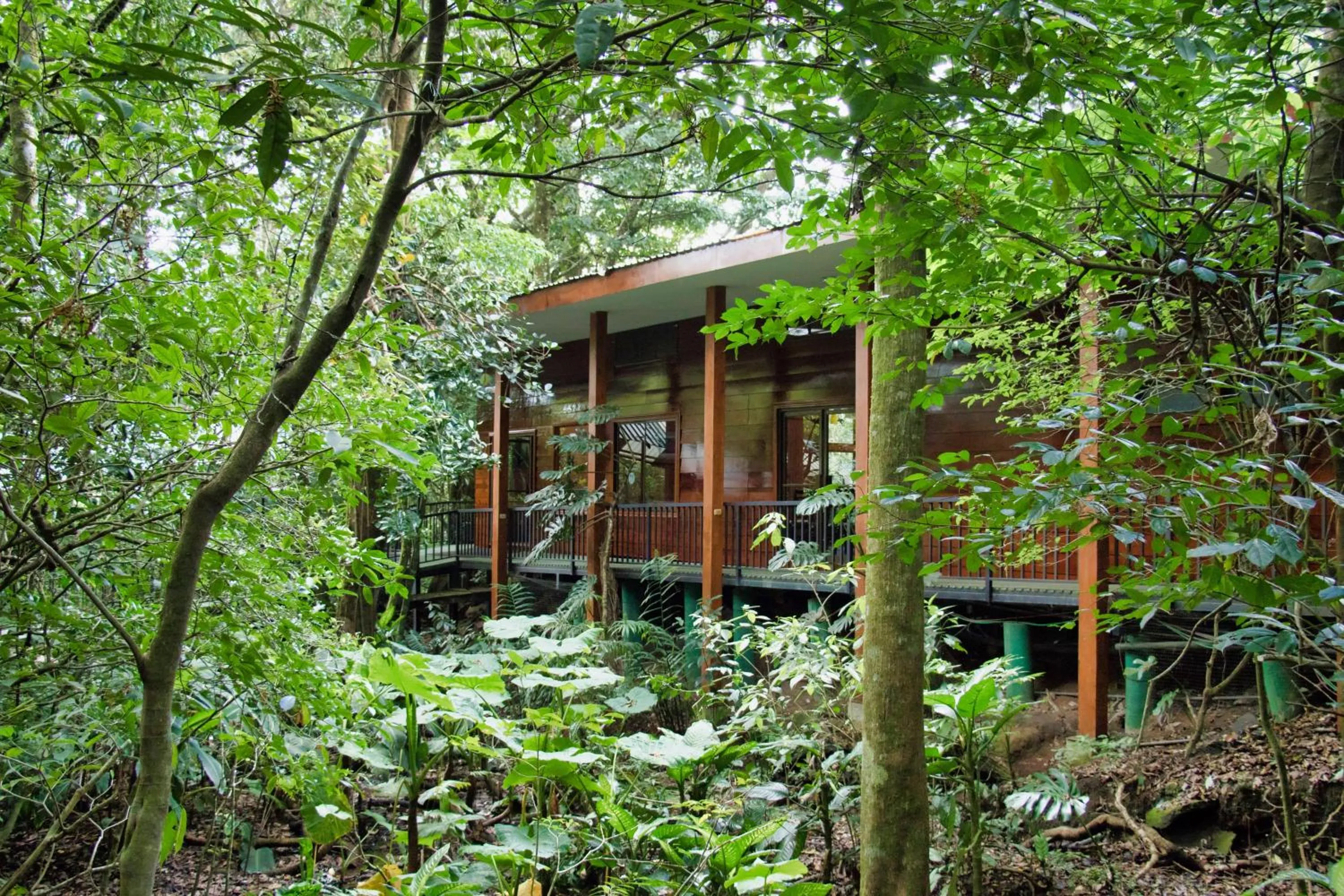 Property building in Jaguarundi Jungle Lodge - Monteverde