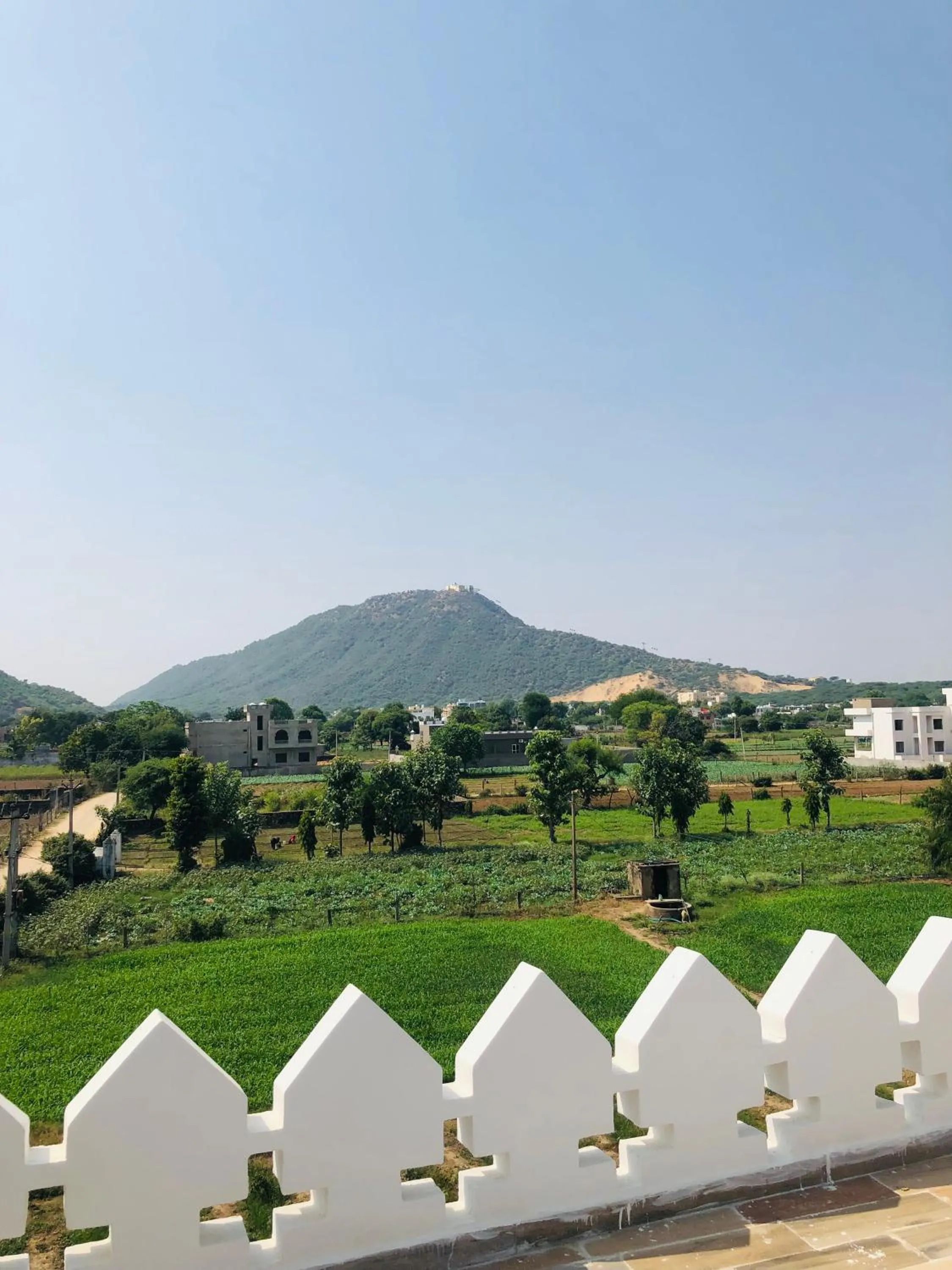 View (from property/room) in Kesariya Bagh Resort Pushkar