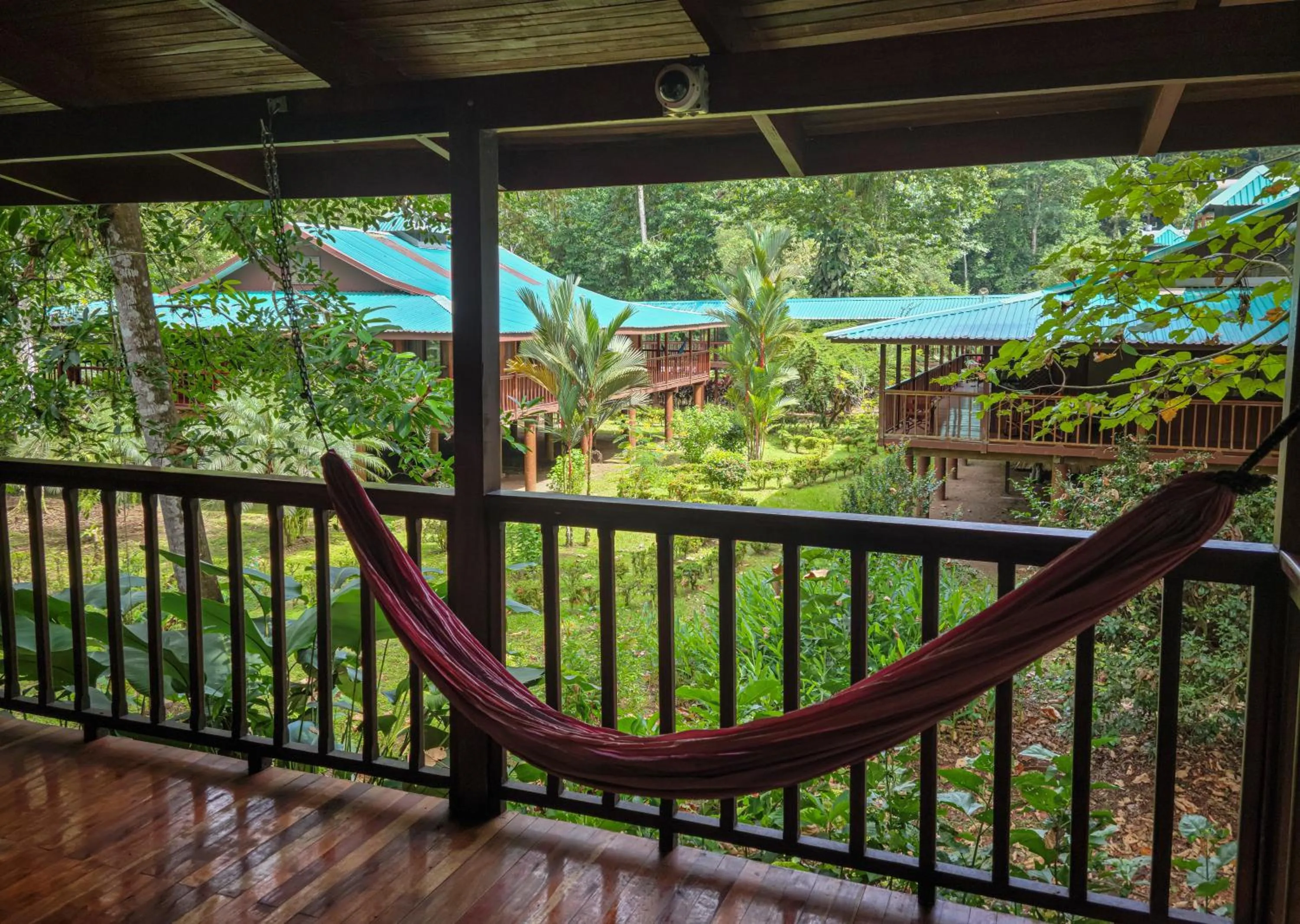 Balcony/Terrace in Selva Verde Lodge