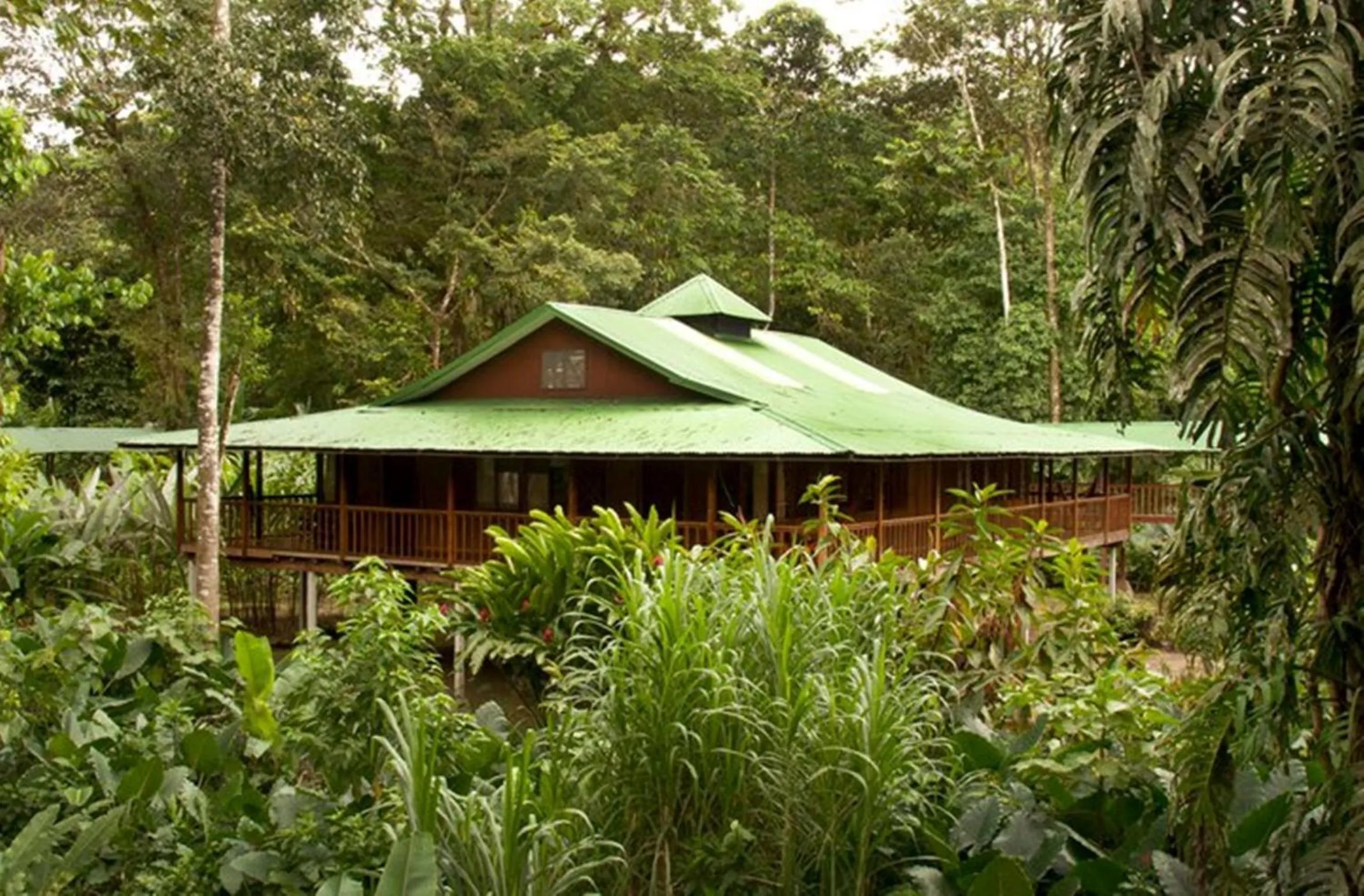 Property building in Selva Verde Lodge