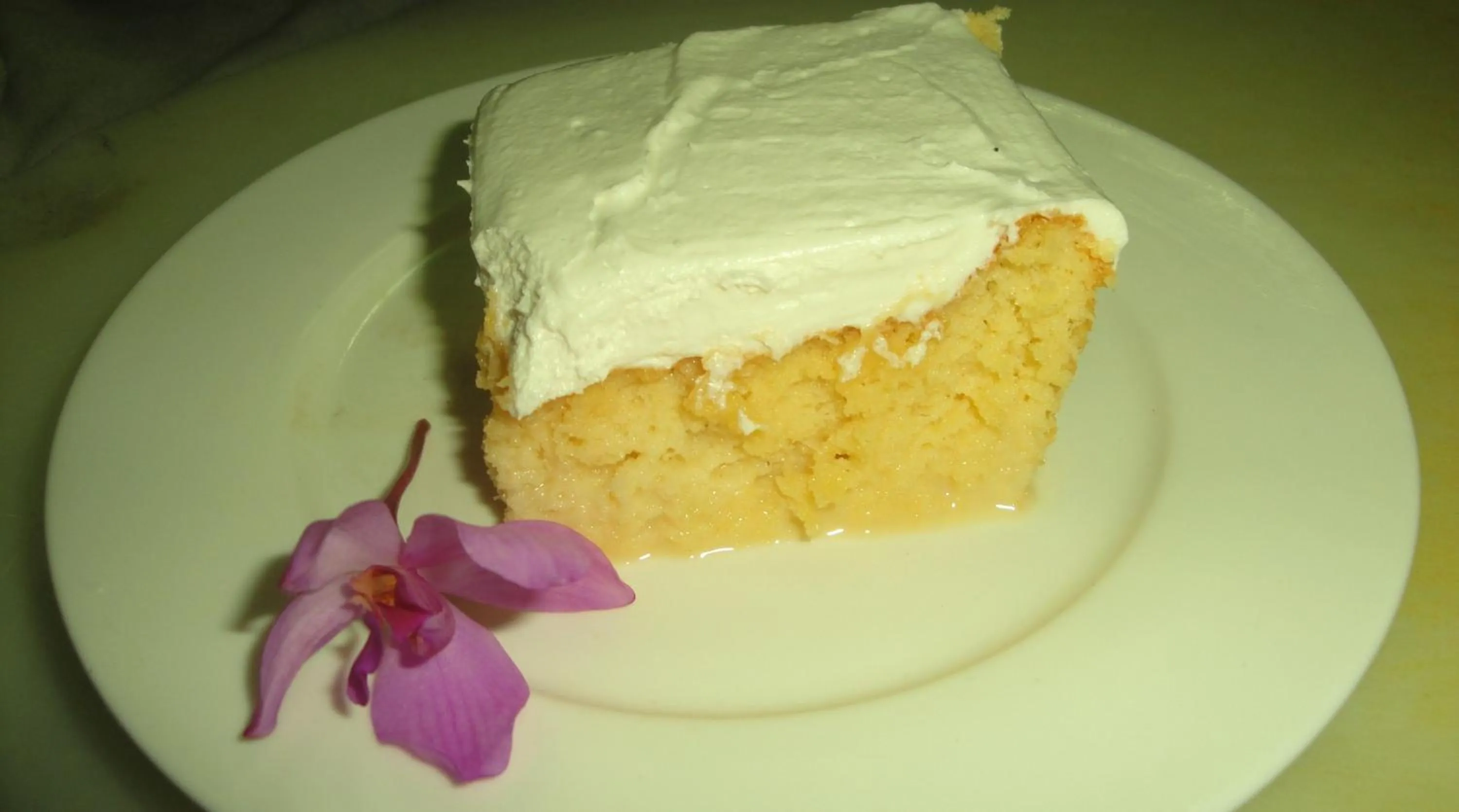 Food close-up in Selva Verde Lodge