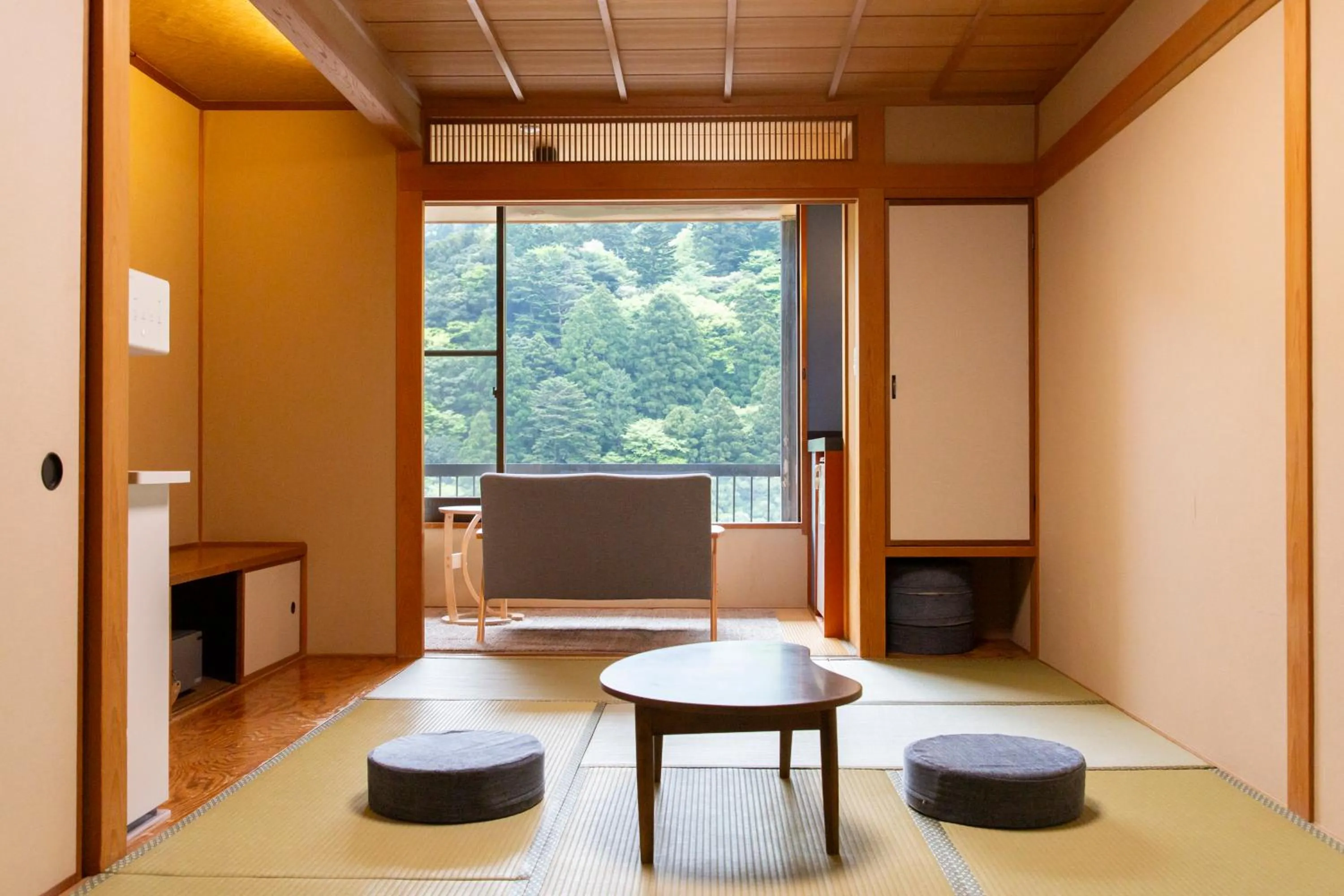 View (from property/room) in Shikanoyu Hotel