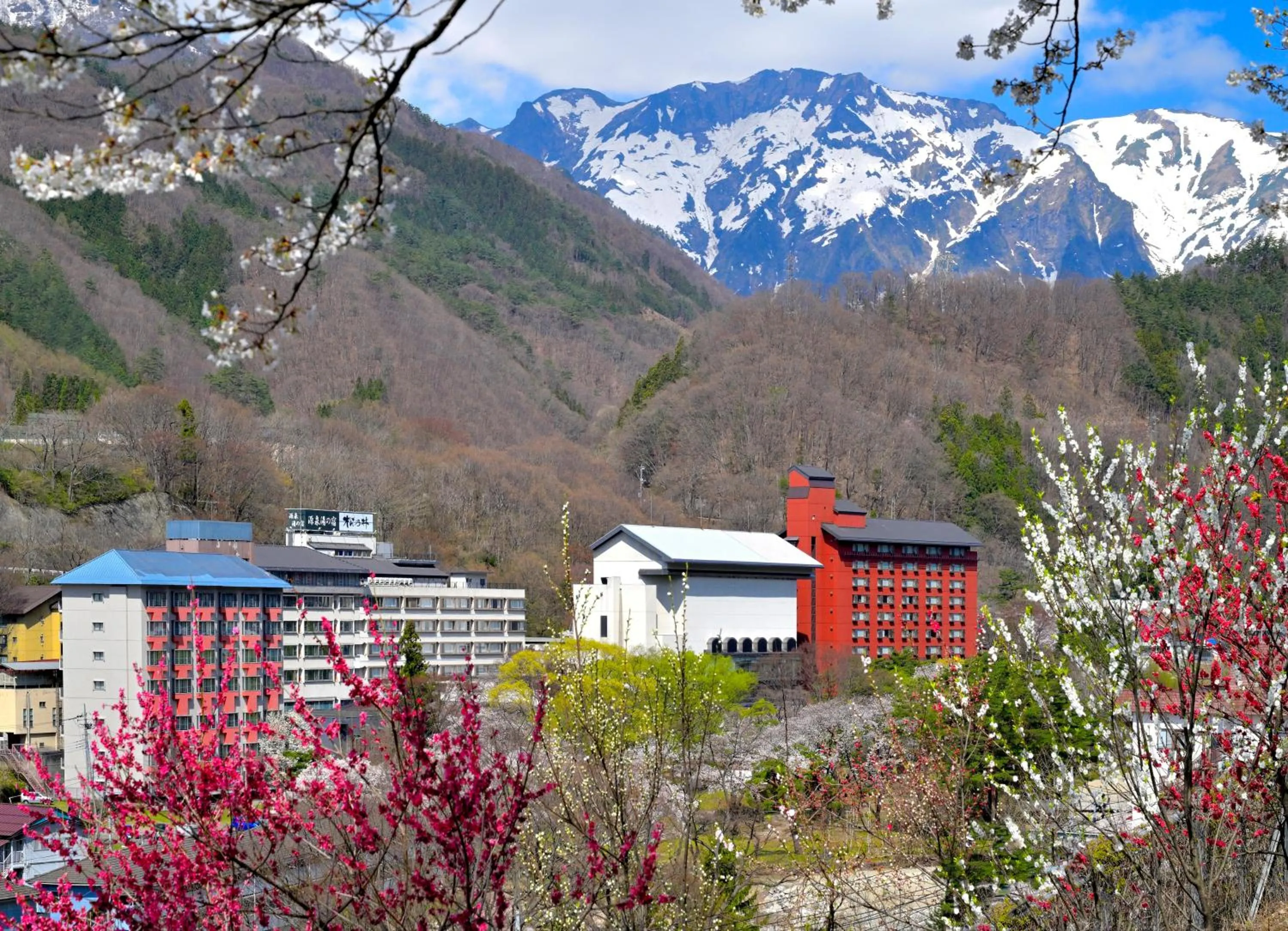Property building in Matsunoi