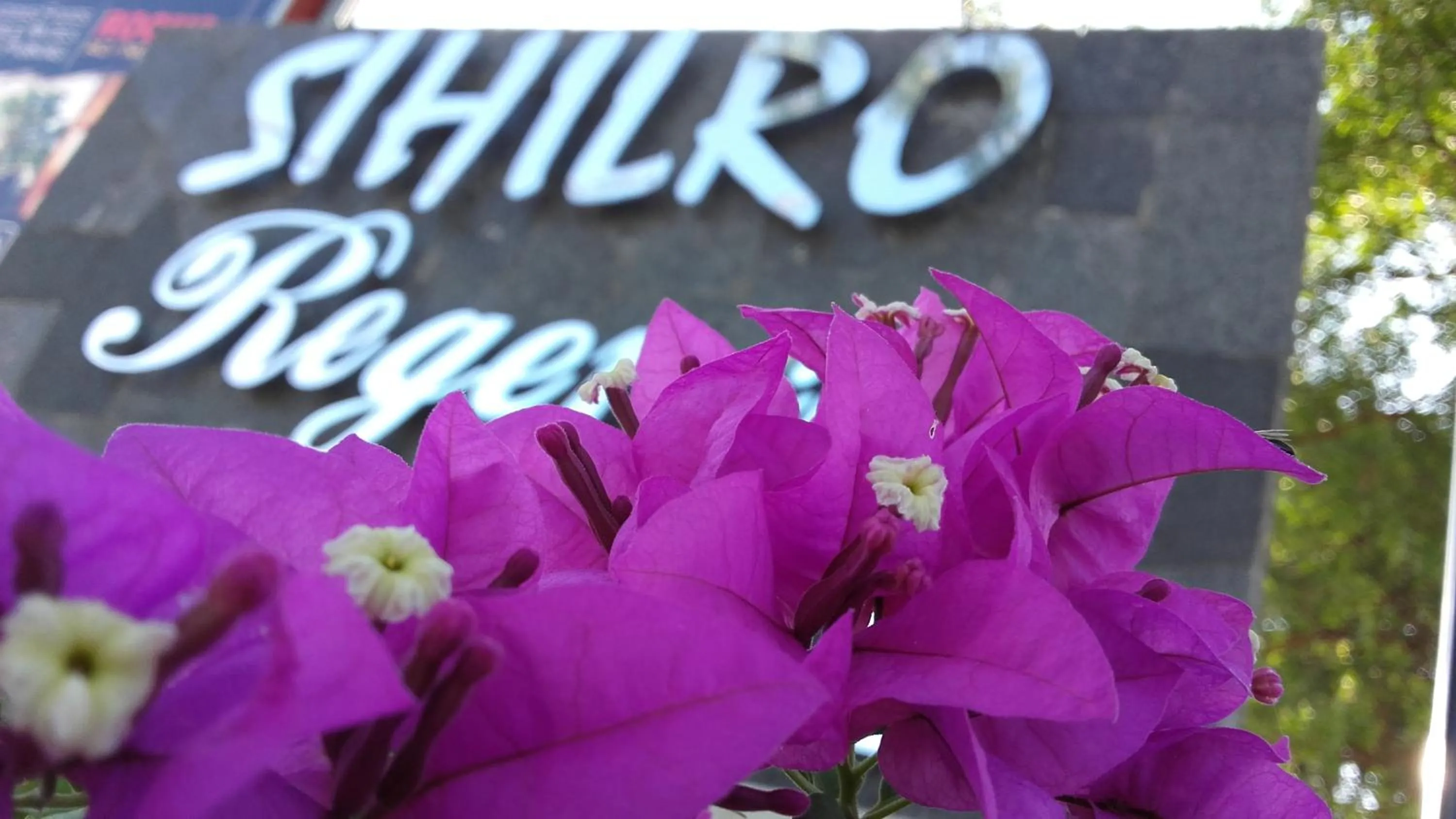 Decorative detail in Sihilro Regency