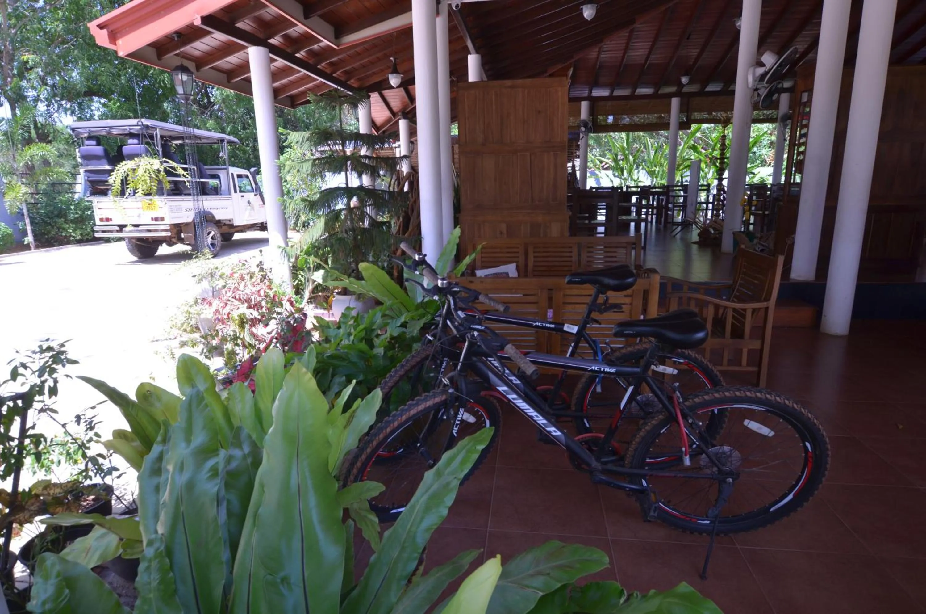 Cycling in Sihilro Regency