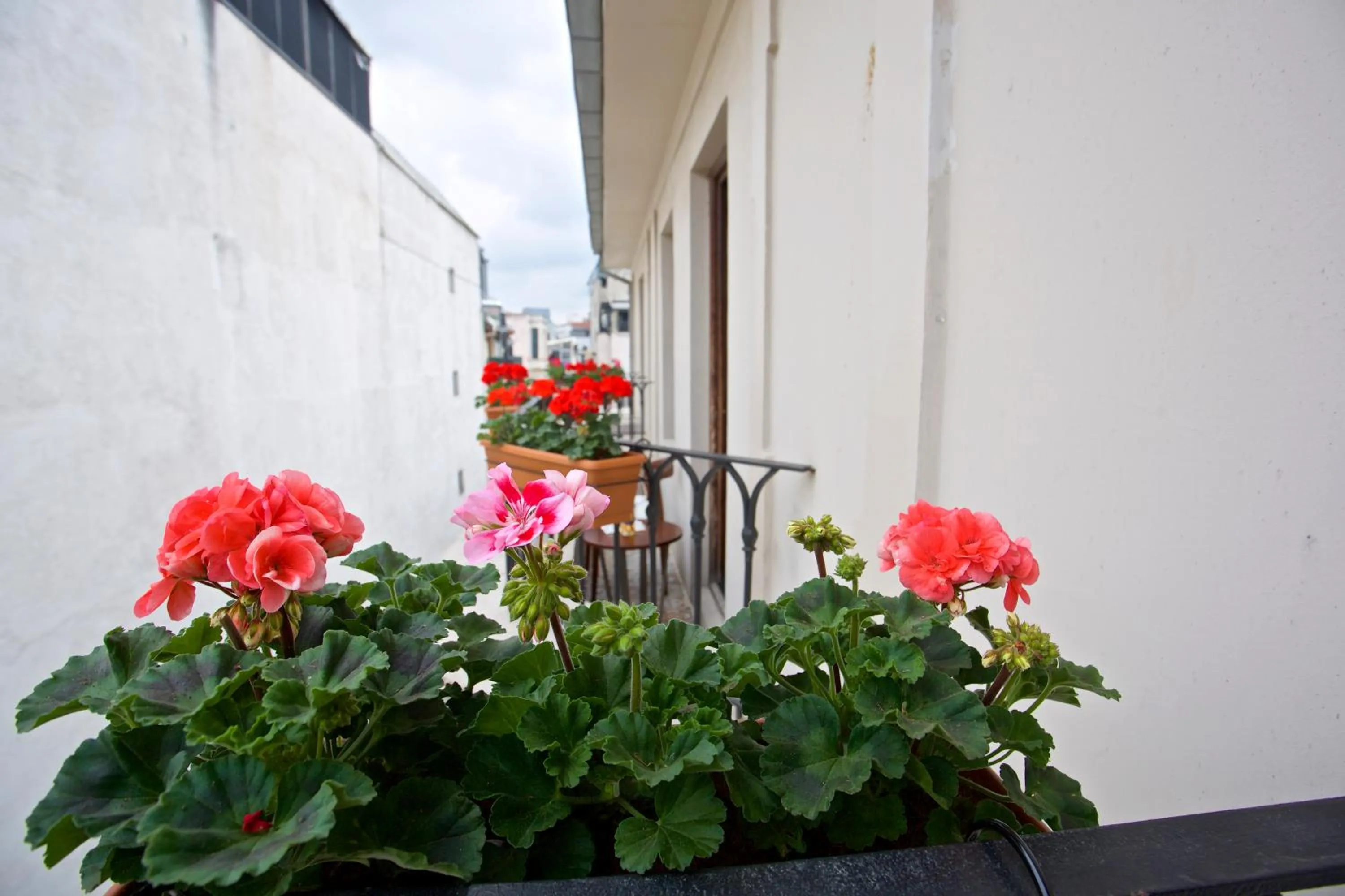 Balcony/Terrace in Taxim Lounge Hotel Special Category