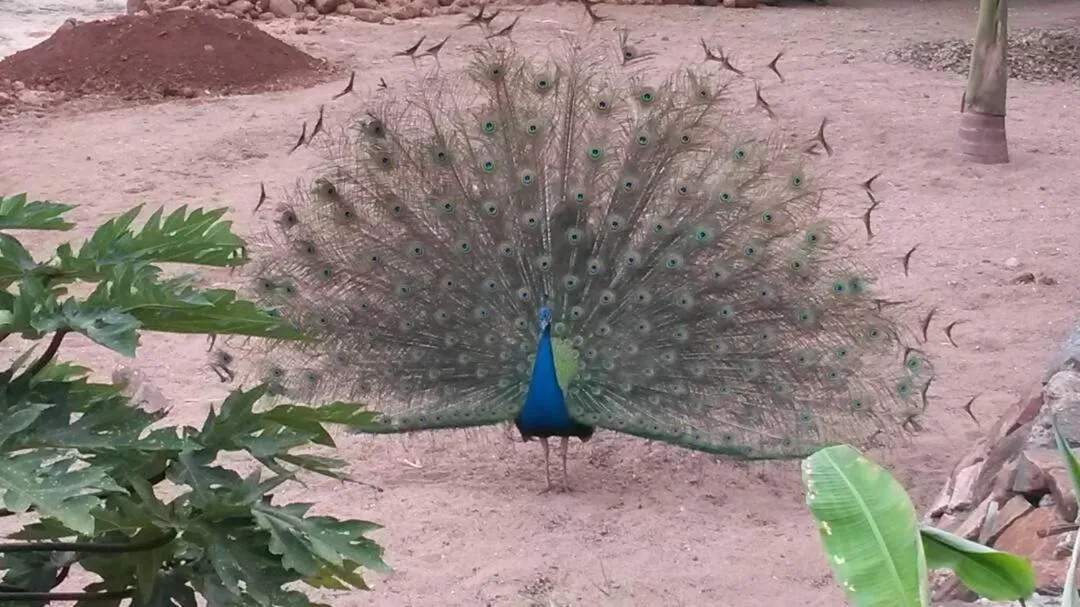 Serenity on the Lake