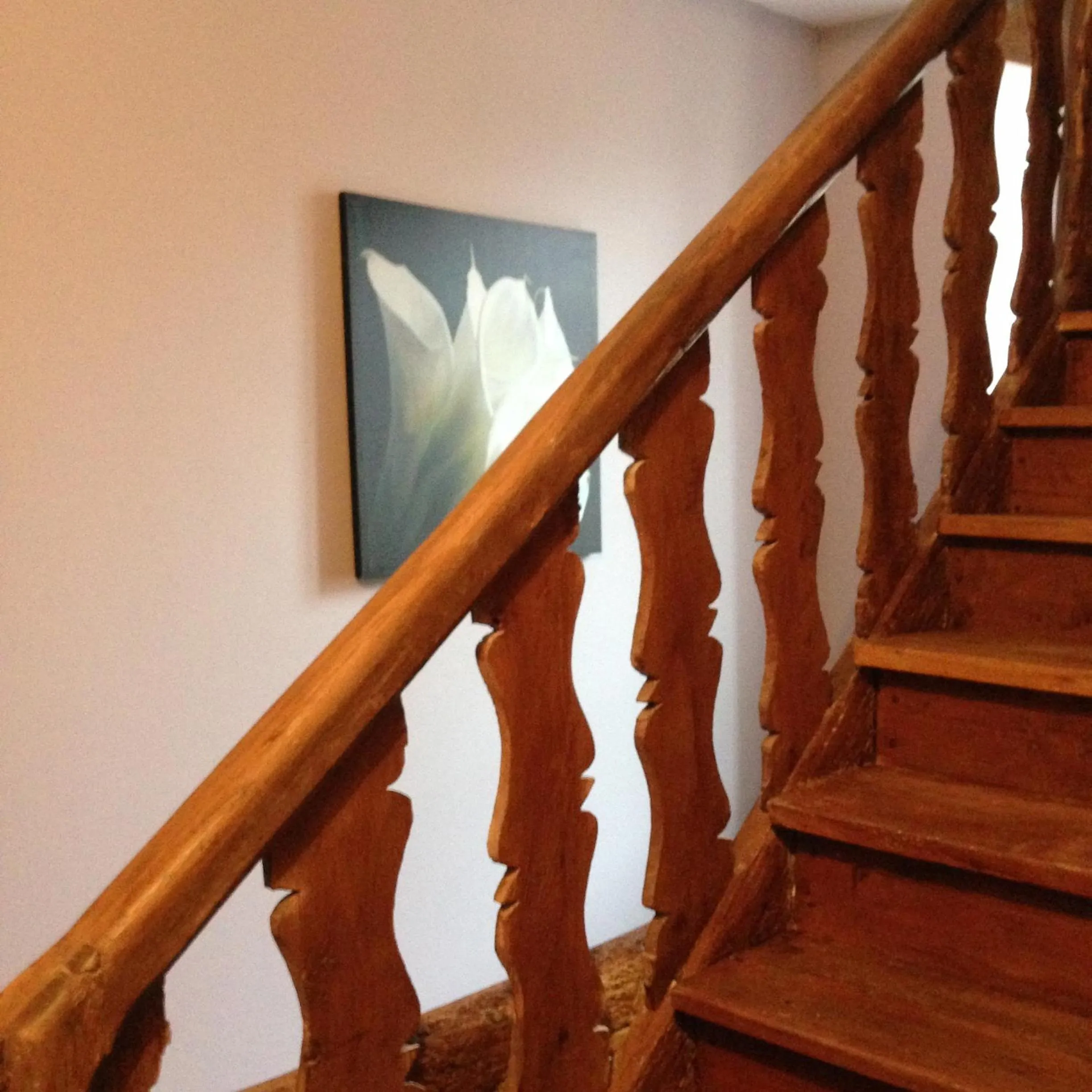 Decorative detail in Appartements d'hôtes Santa Giulia