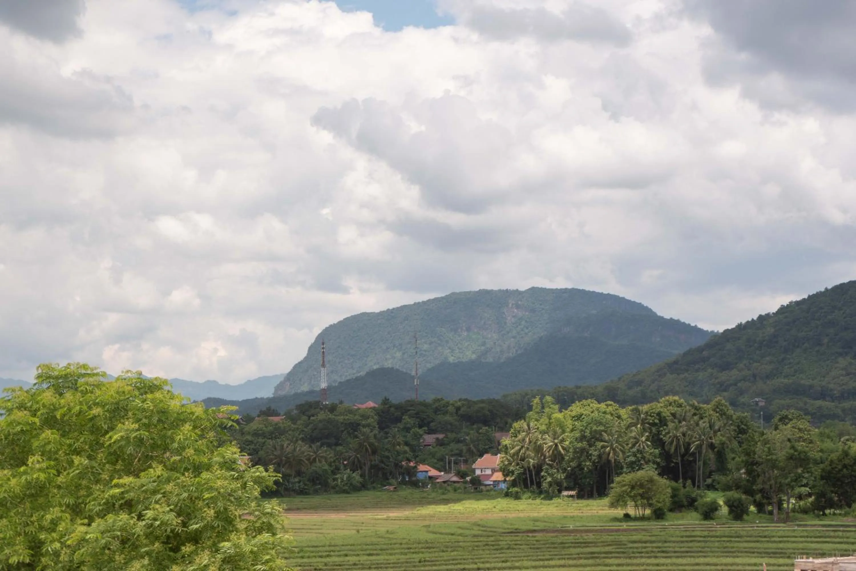 Mountain view in Garden House Rice Field and Mountain View
