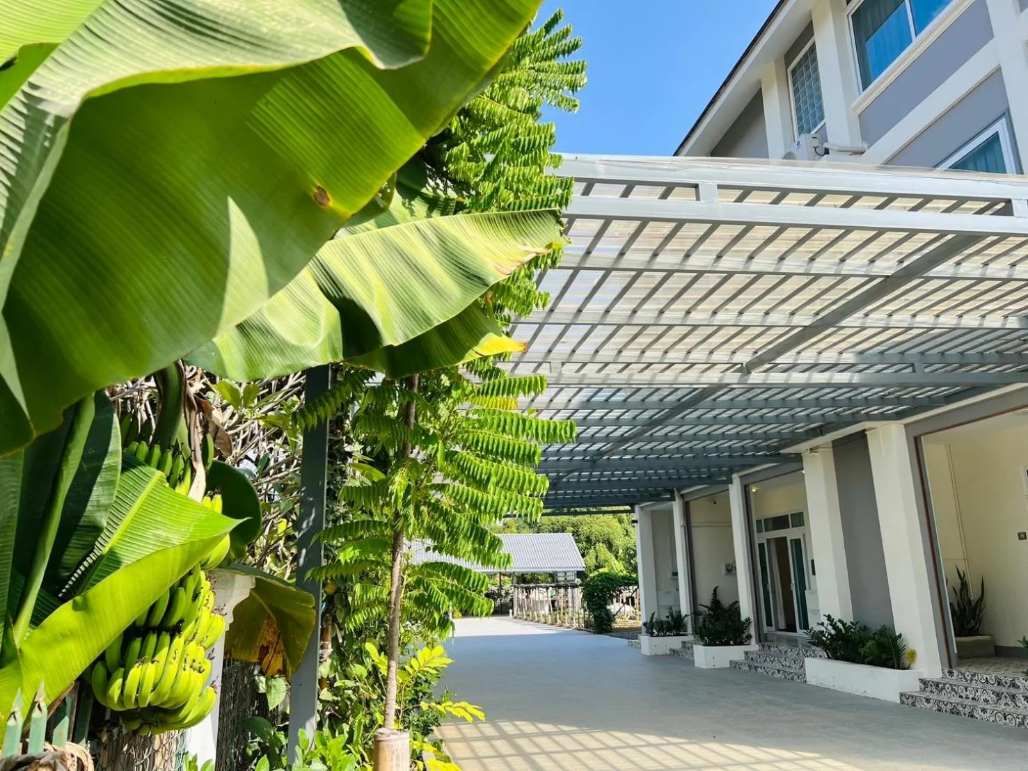 Garden in Garden House Rice Field and Mountain View