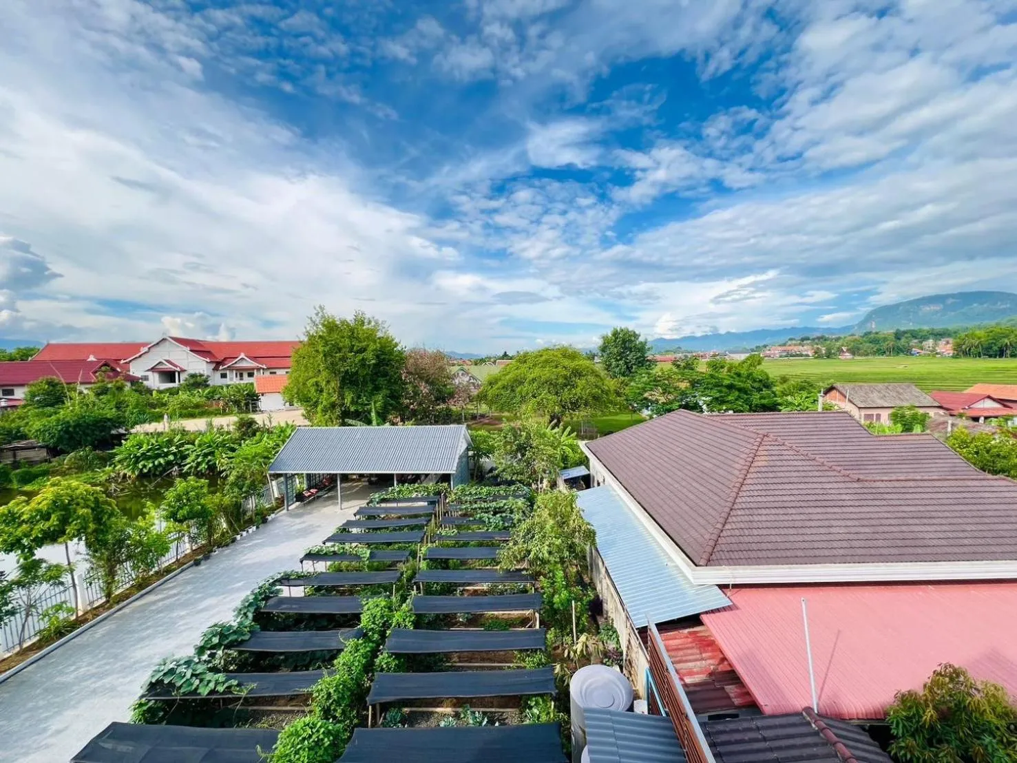 Garden in Garden House Rice Field and Mountain View