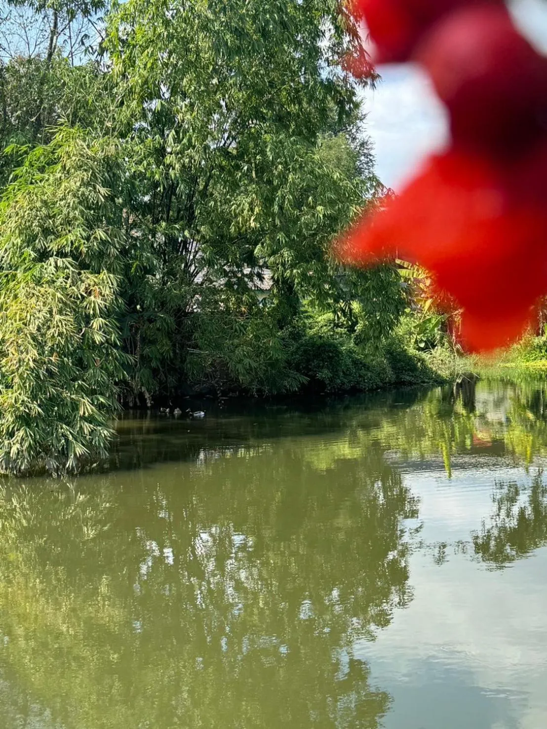 City view in Garden House Rice Field and Mountain View