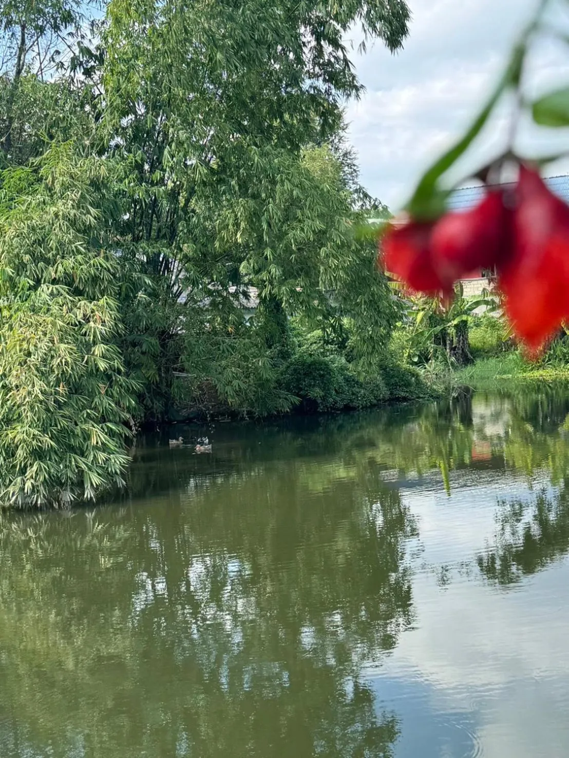 Property building in Garden House Rice Field and Mountain View